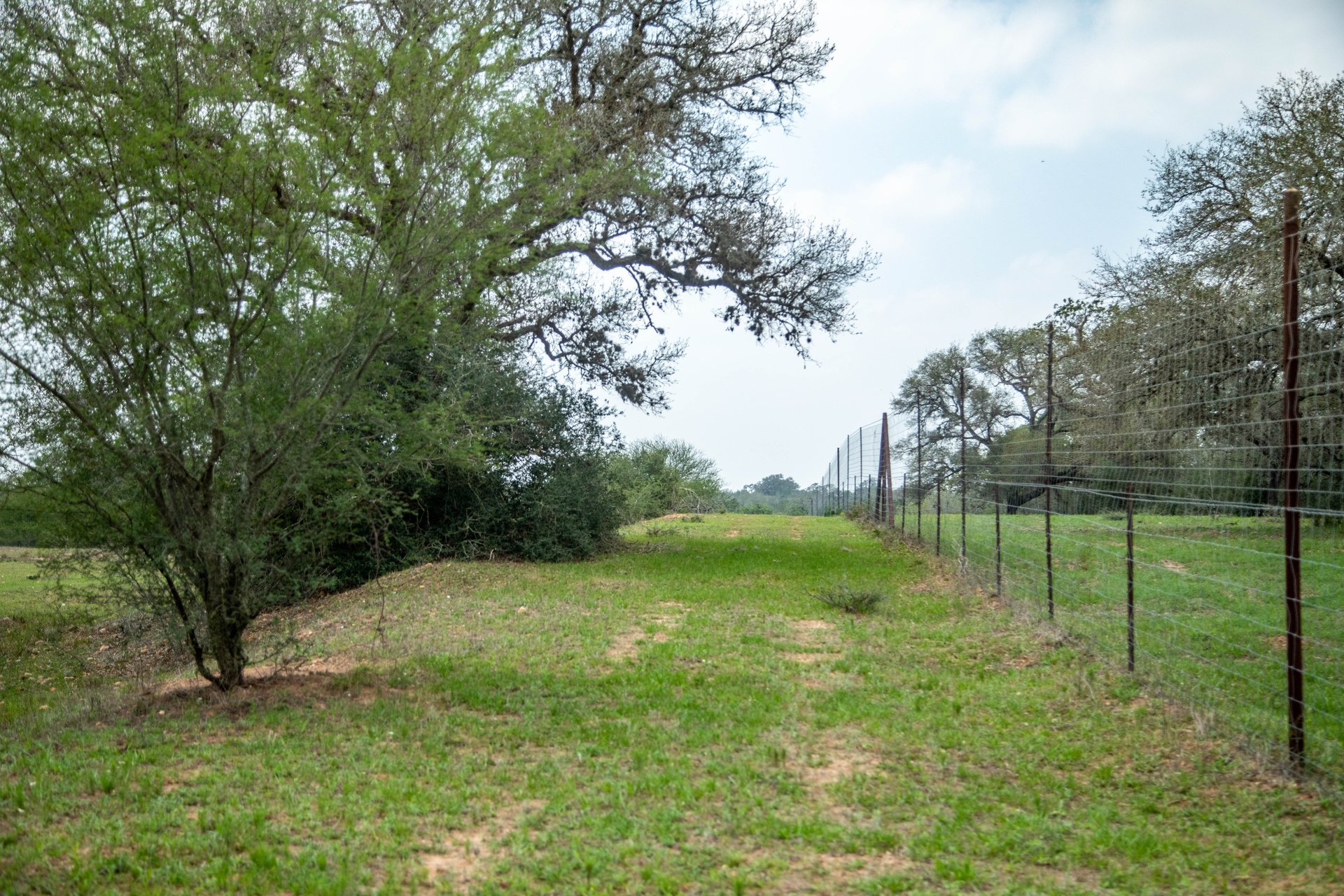 Five Mile Creek Reserve | 252.73± Acres-High Fence | DeWitt County, TX