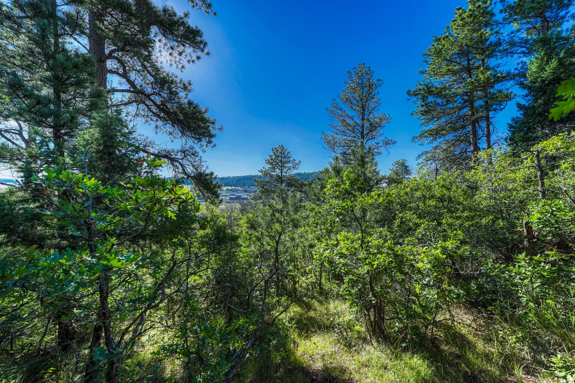 00 Columbine Road