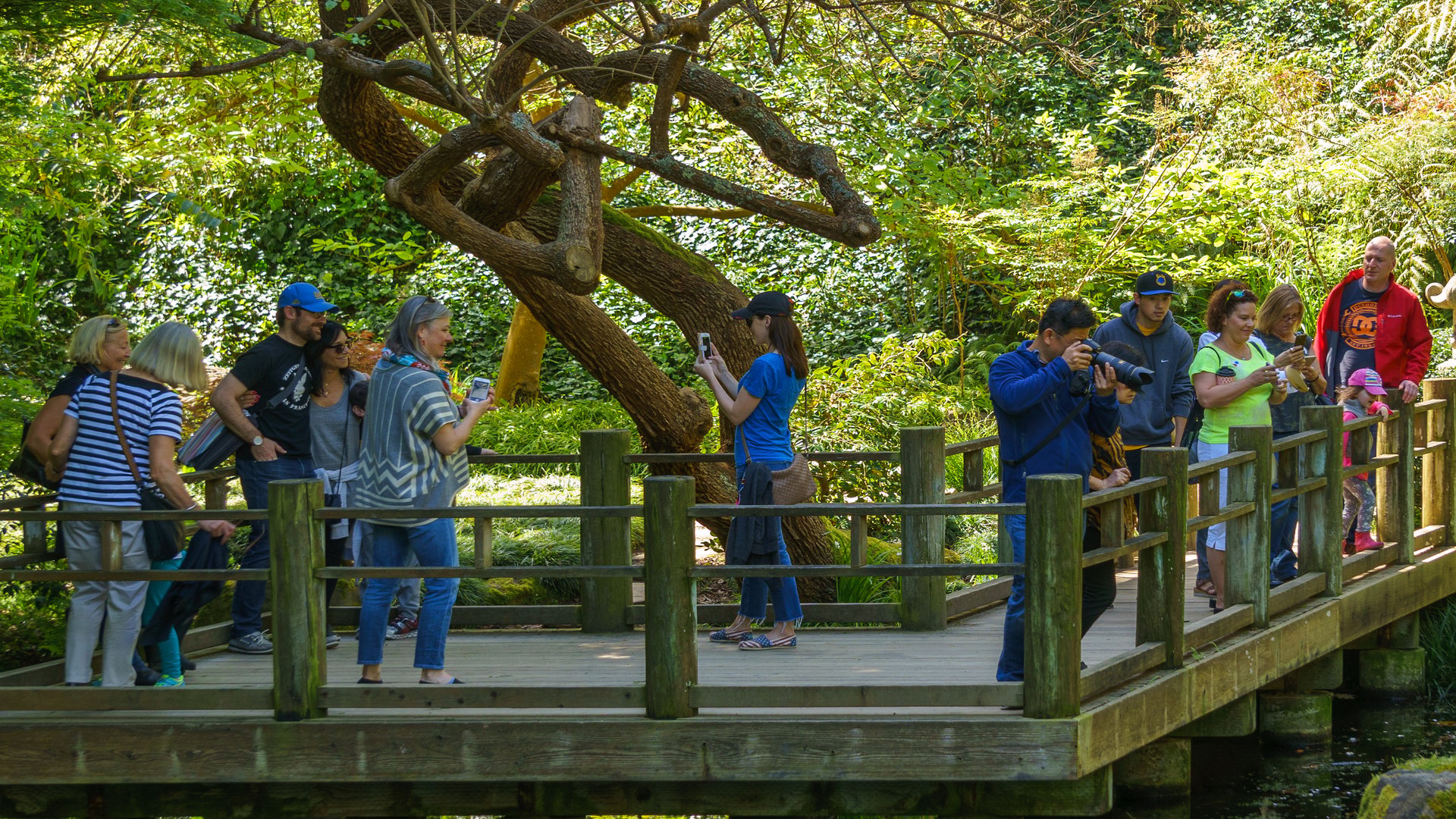 People walking through San Francisco Botanical Garden