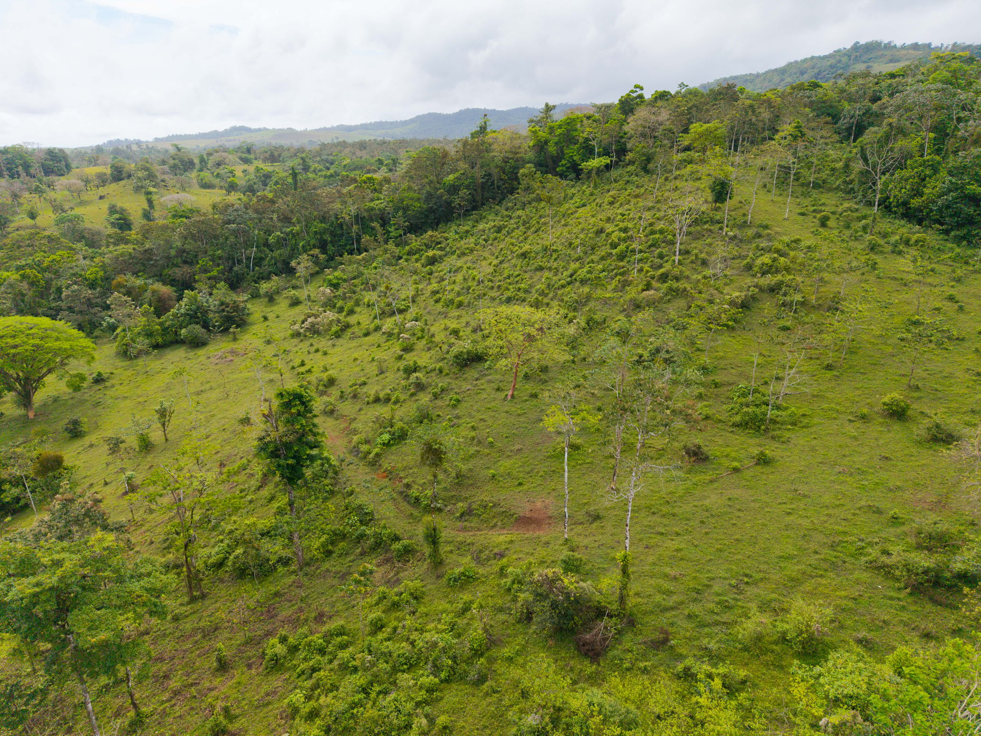 Finca Las Zompopas-Río Celeste | 113-Acre Biodiverse Property in Bijagua, Ideal for Eco-Tourism, Private Retreats, or Sustainable Development
