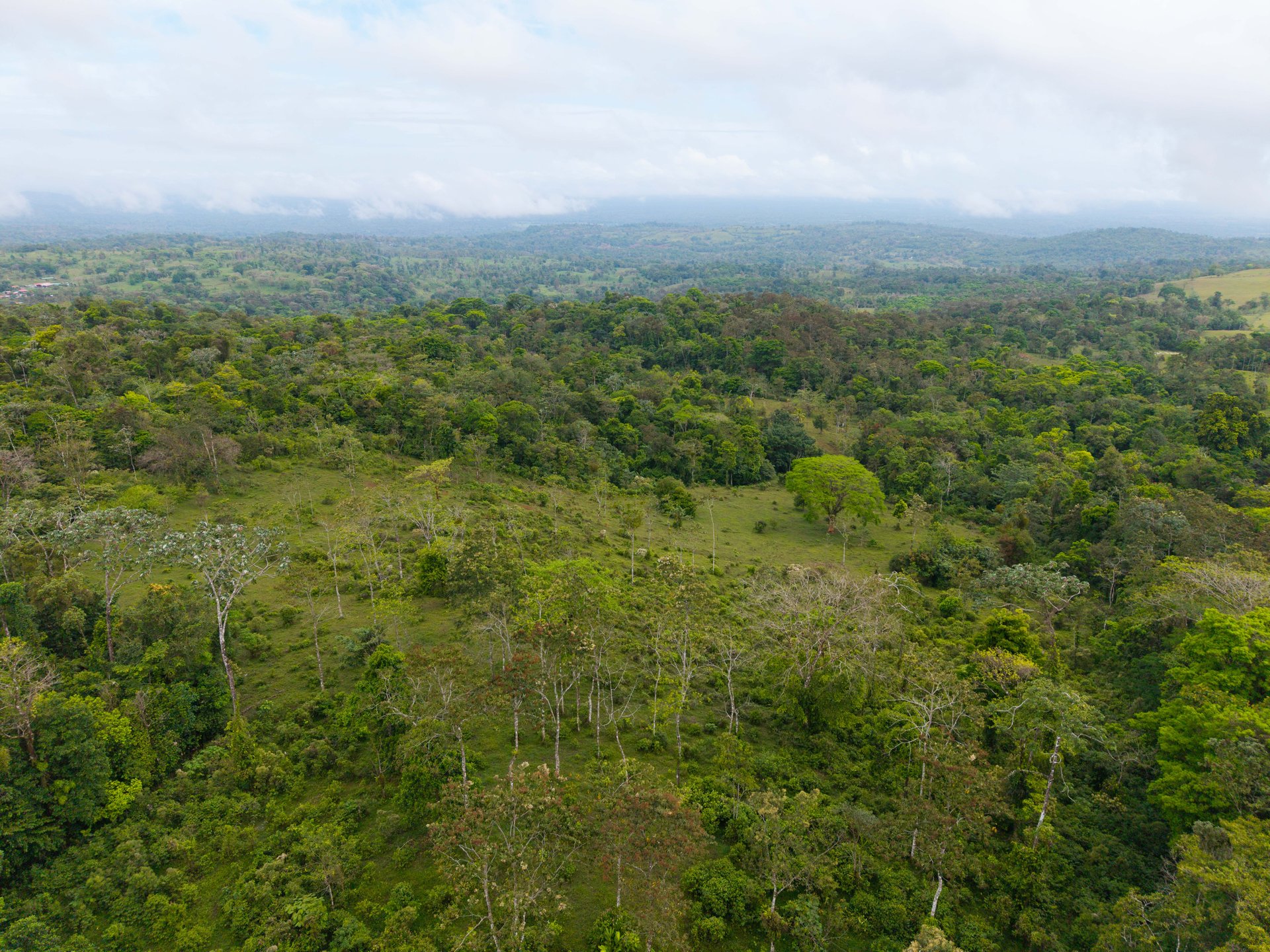 Finca Las Zompopas-Río Celeste | 113-Acre Biodiverse Property in Bijagua, Ideal for Eco-Tourism, Private Retreats, or Sustainable Development