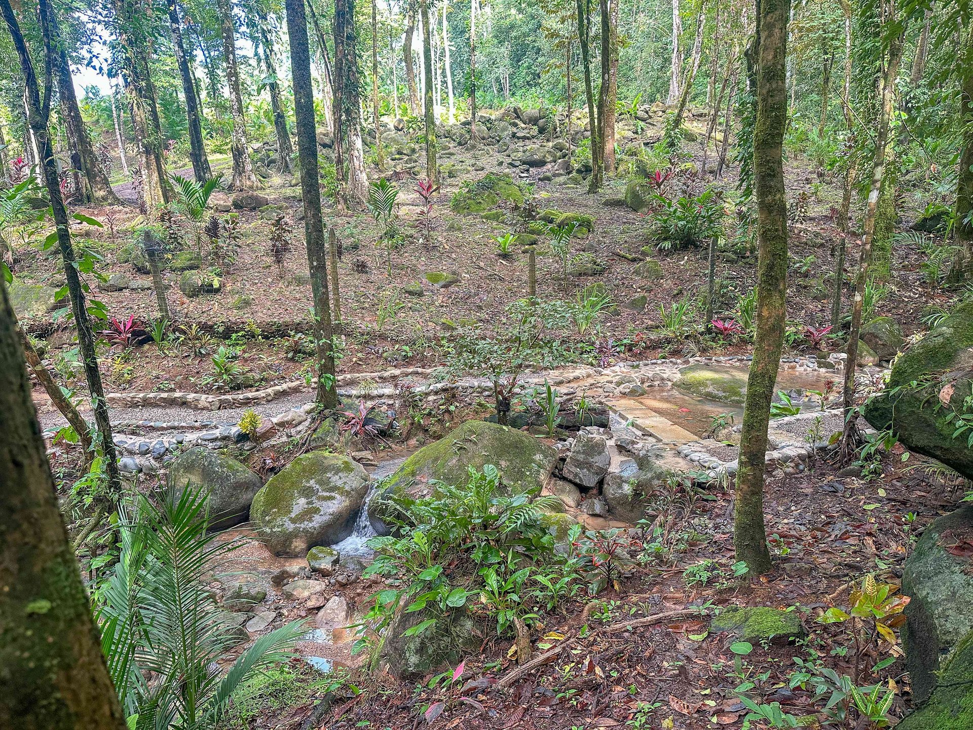2-Bedroom Jungle Home with River, Waterfall & Pool on 3.8 Acres in Ojochal, Costa Rica