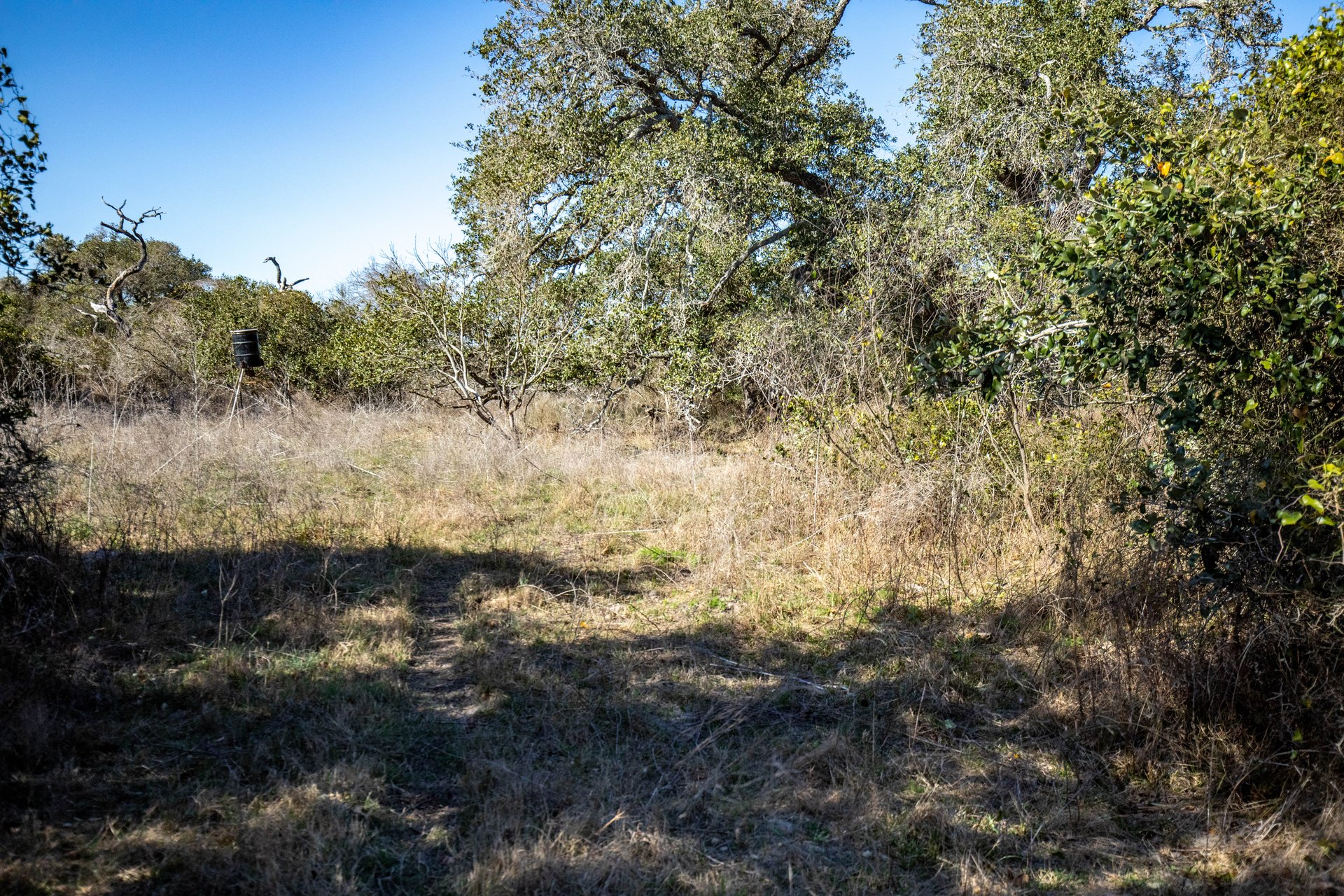 Lamar Peninsula Development Tract |  51.81± Acres | Aransas County