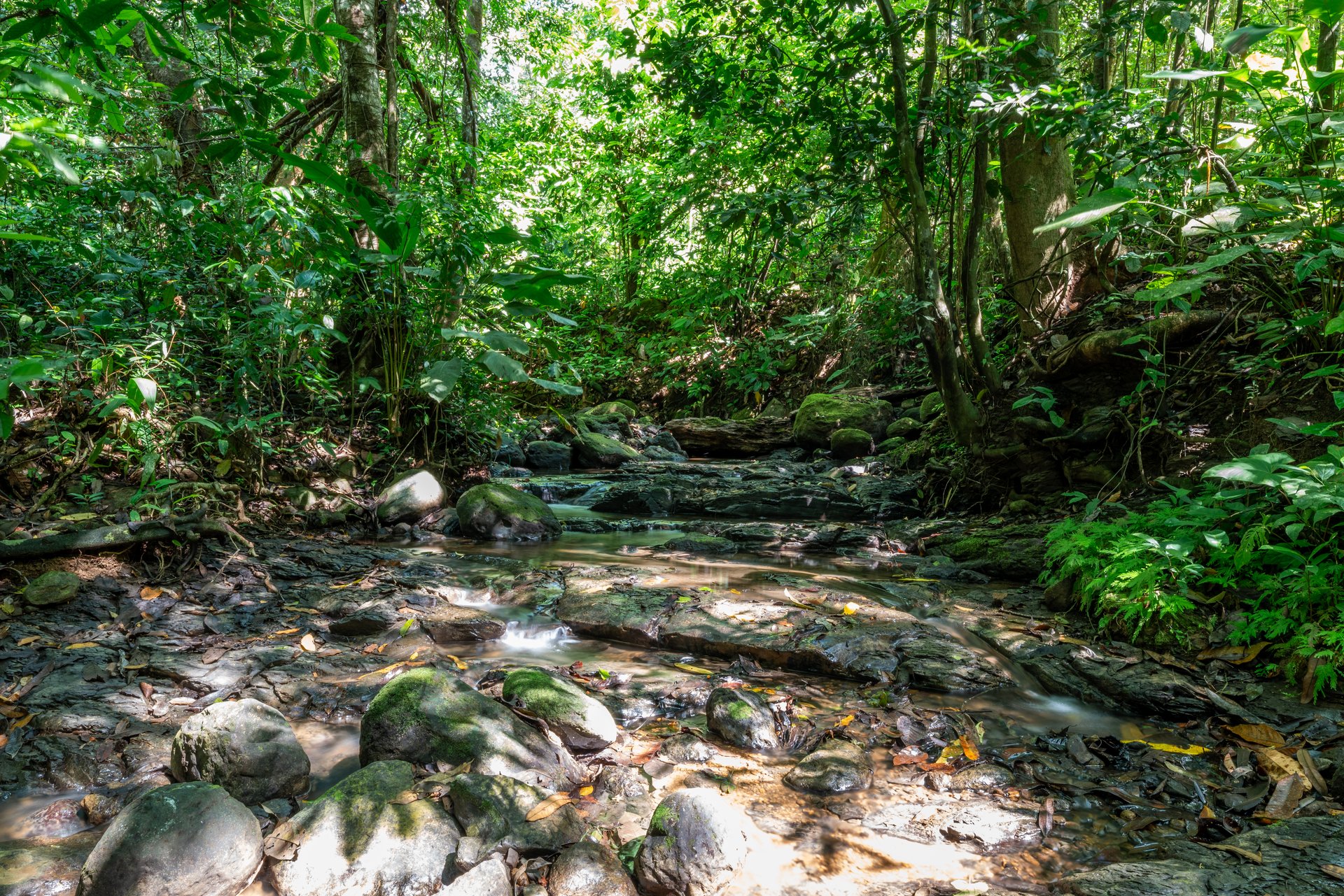 Surfers Paradise! Two Usable Lots for Building in Playa Hermosa Near Uvita!!