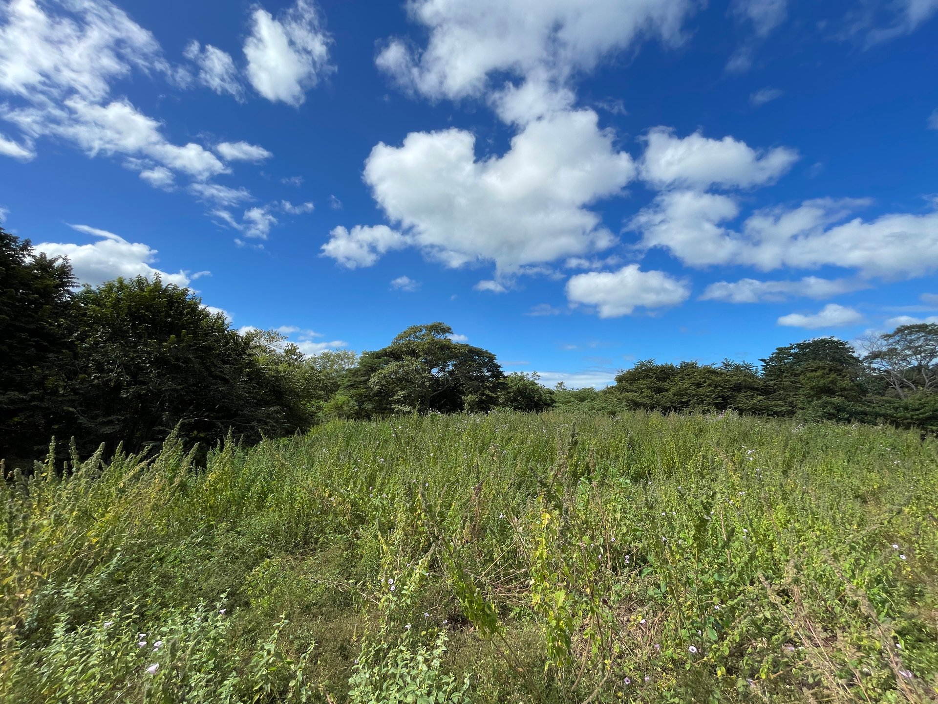 Private Jungle Estate Land in Vistas de Flamingo, Guanacaste, Costa Rica