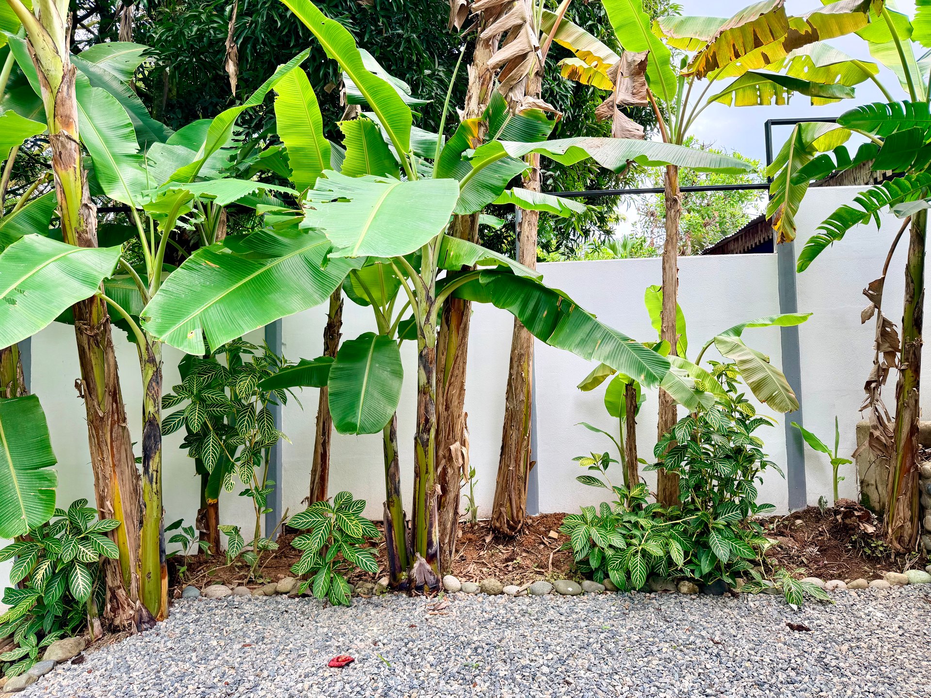 Tropical 2BR Home Near Playa Hermosa Beach | Successful Airbnb Rental in Uvita