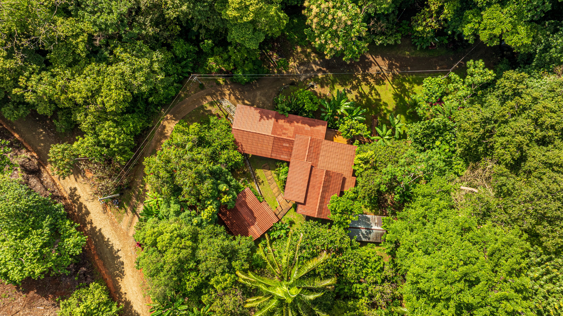 A Jungle House Built of Wood & River Dreams