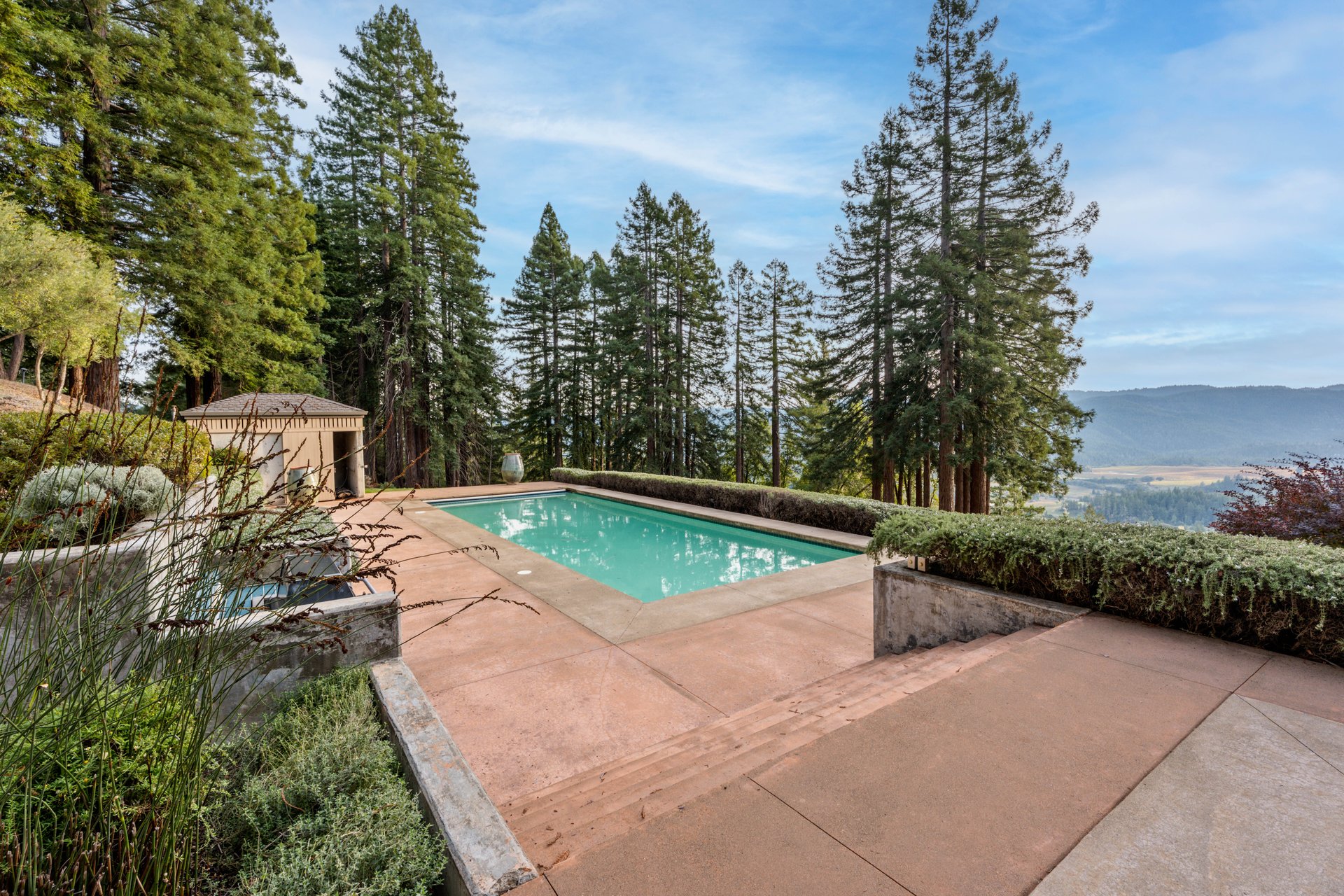 The Redwood Canopy House
