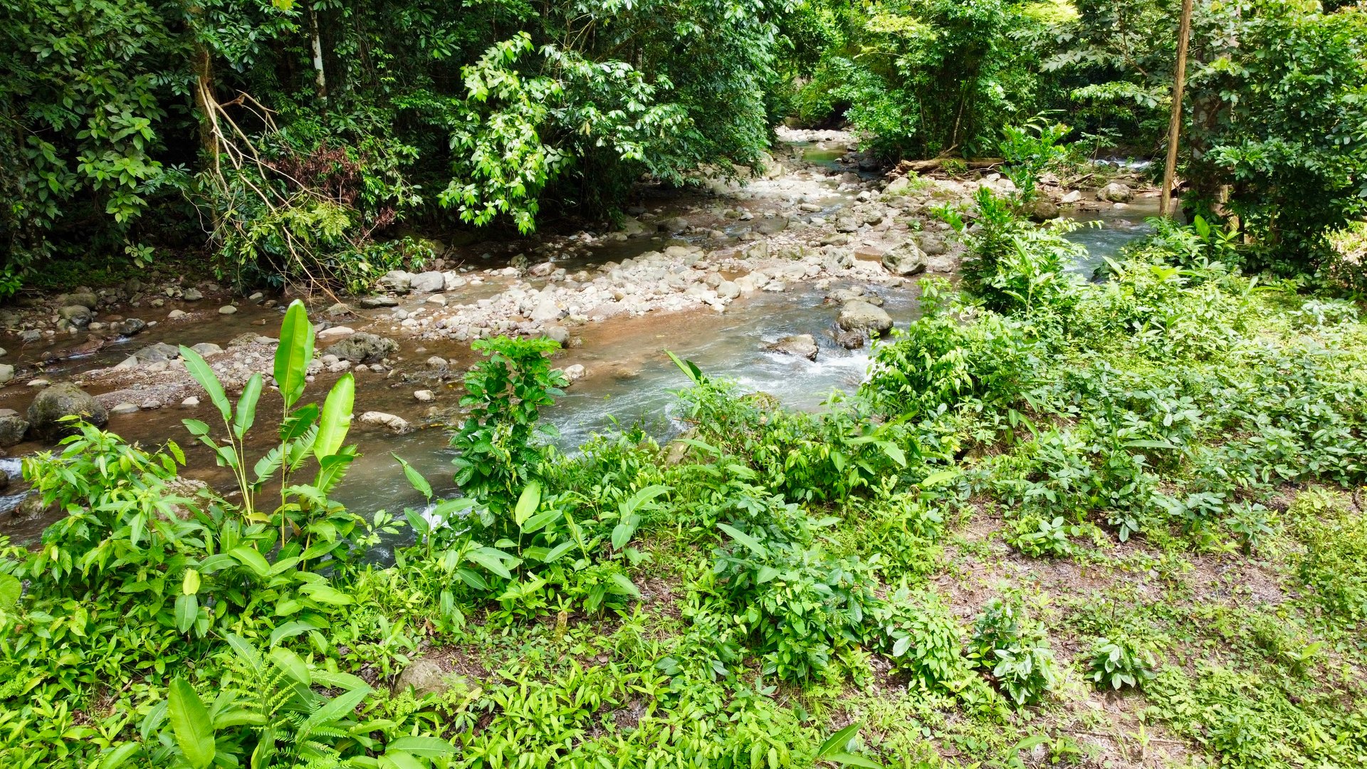 Ready-to-Build Land in San Antonio de Damas: 2,6-Acre with Terraces & Road Frontage