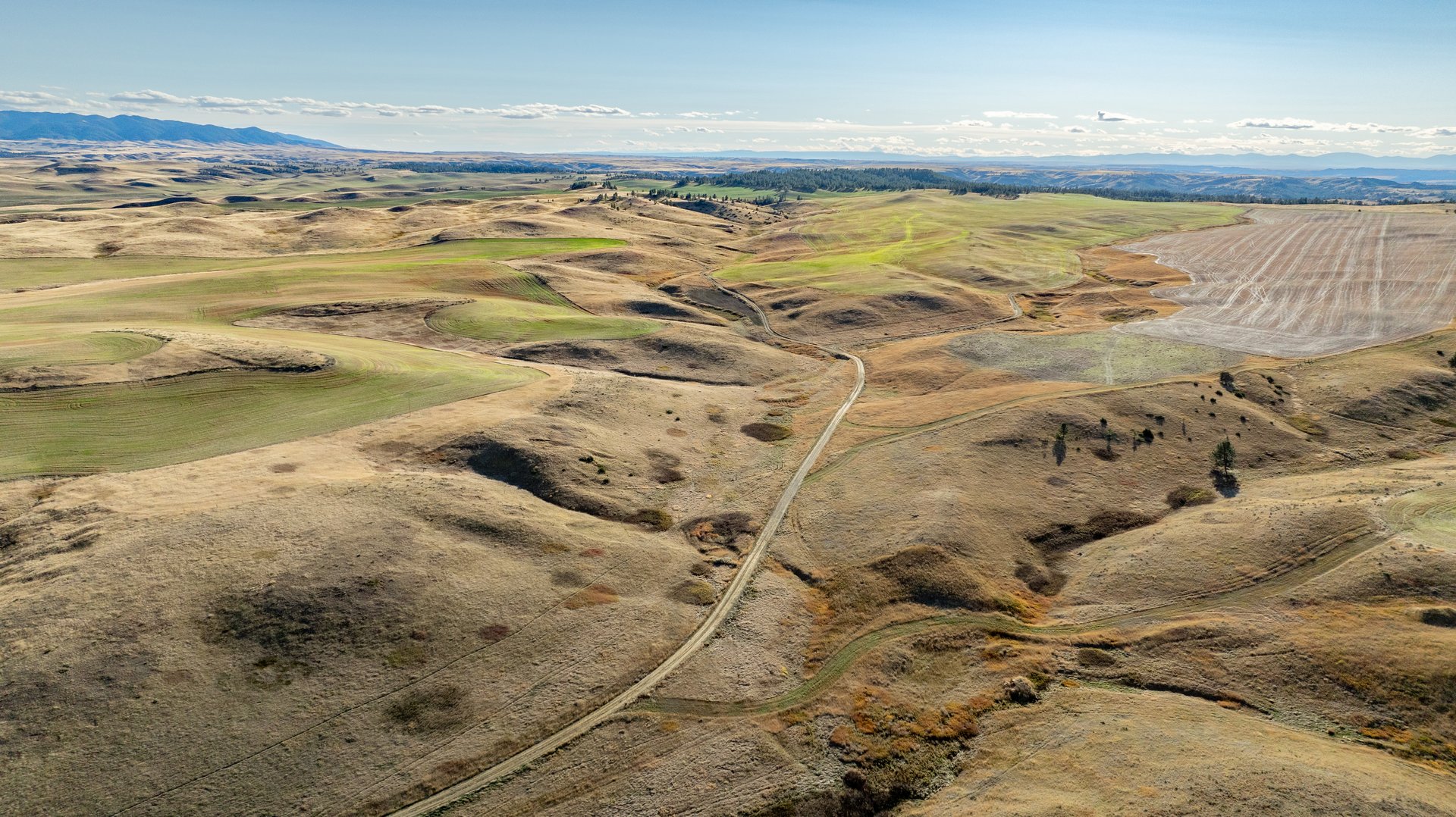 Salt Creek Ranch