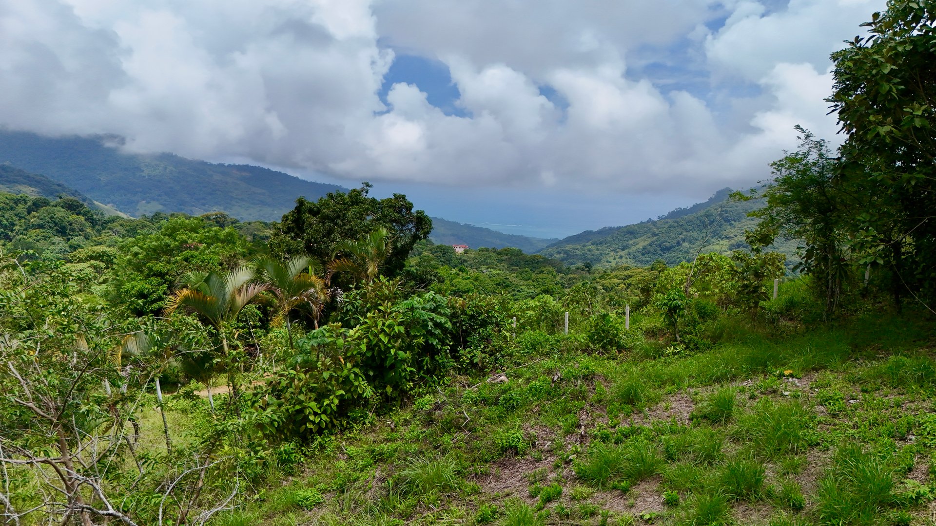 Ocean & Mountain View Lot with Multiple Building Sites-20 Minutes from Uvita