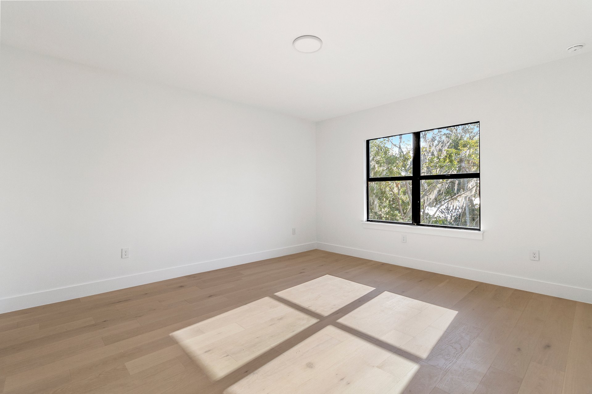 6564 Lagoon St, Windermere