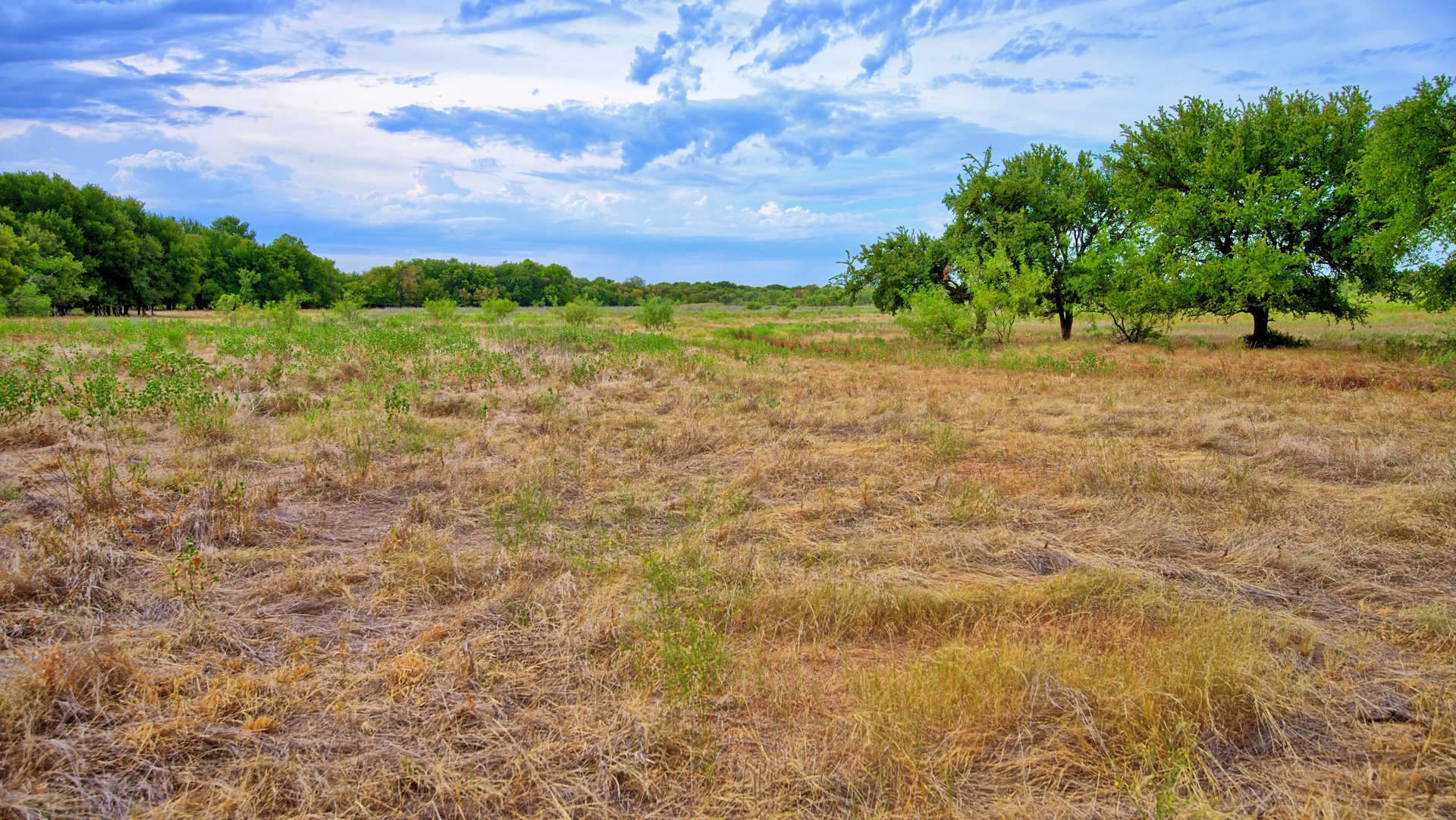 Cross Creek Ranch 