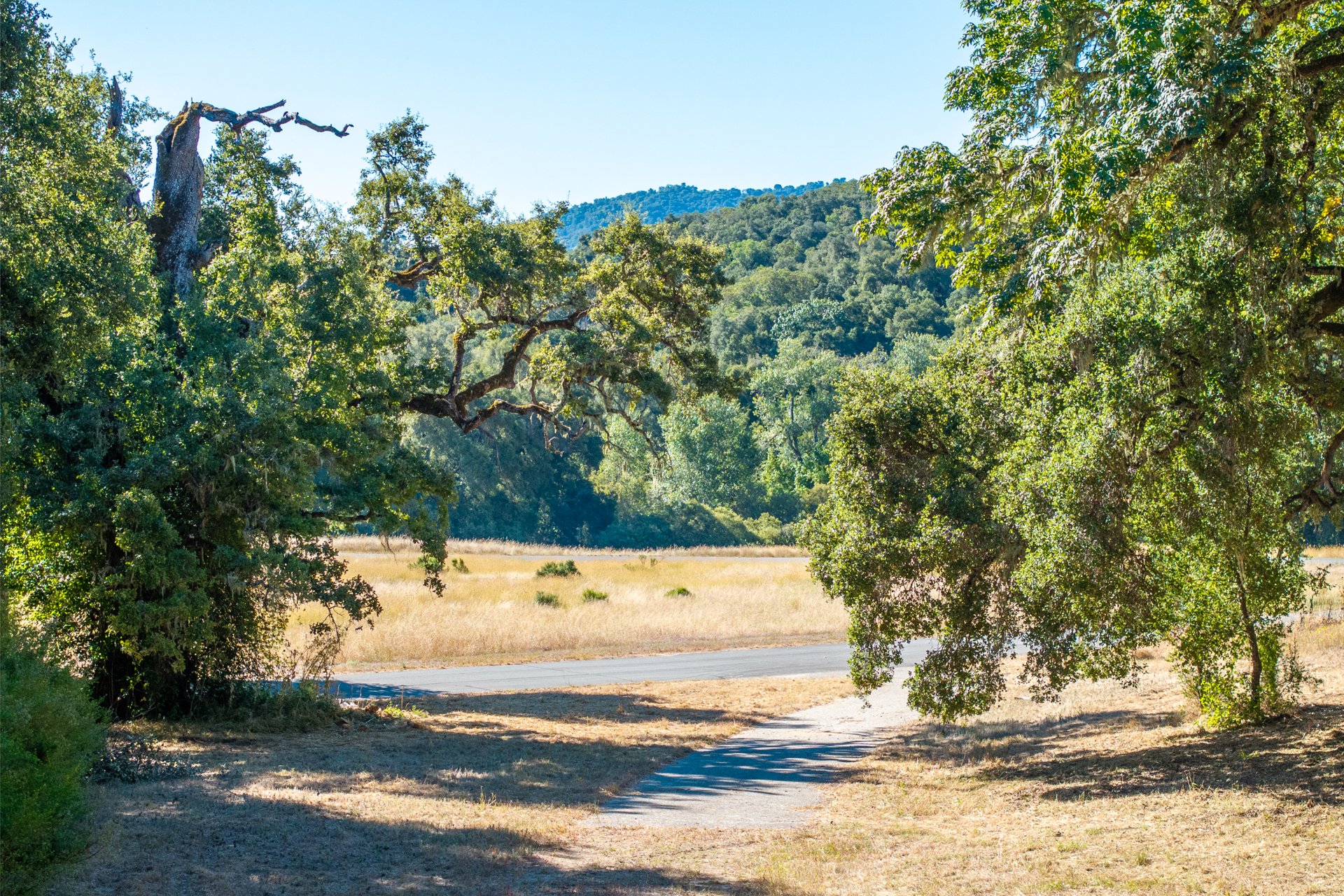 The Preserve Legacy Homesite