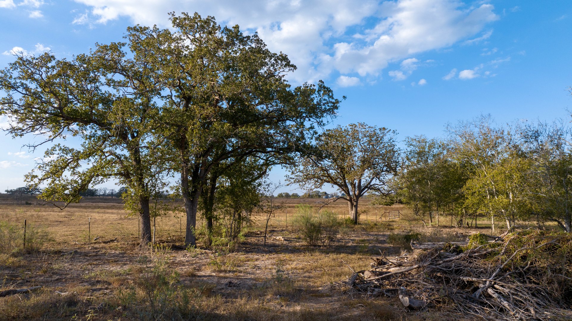 Gonzales County | 104+/- Acres