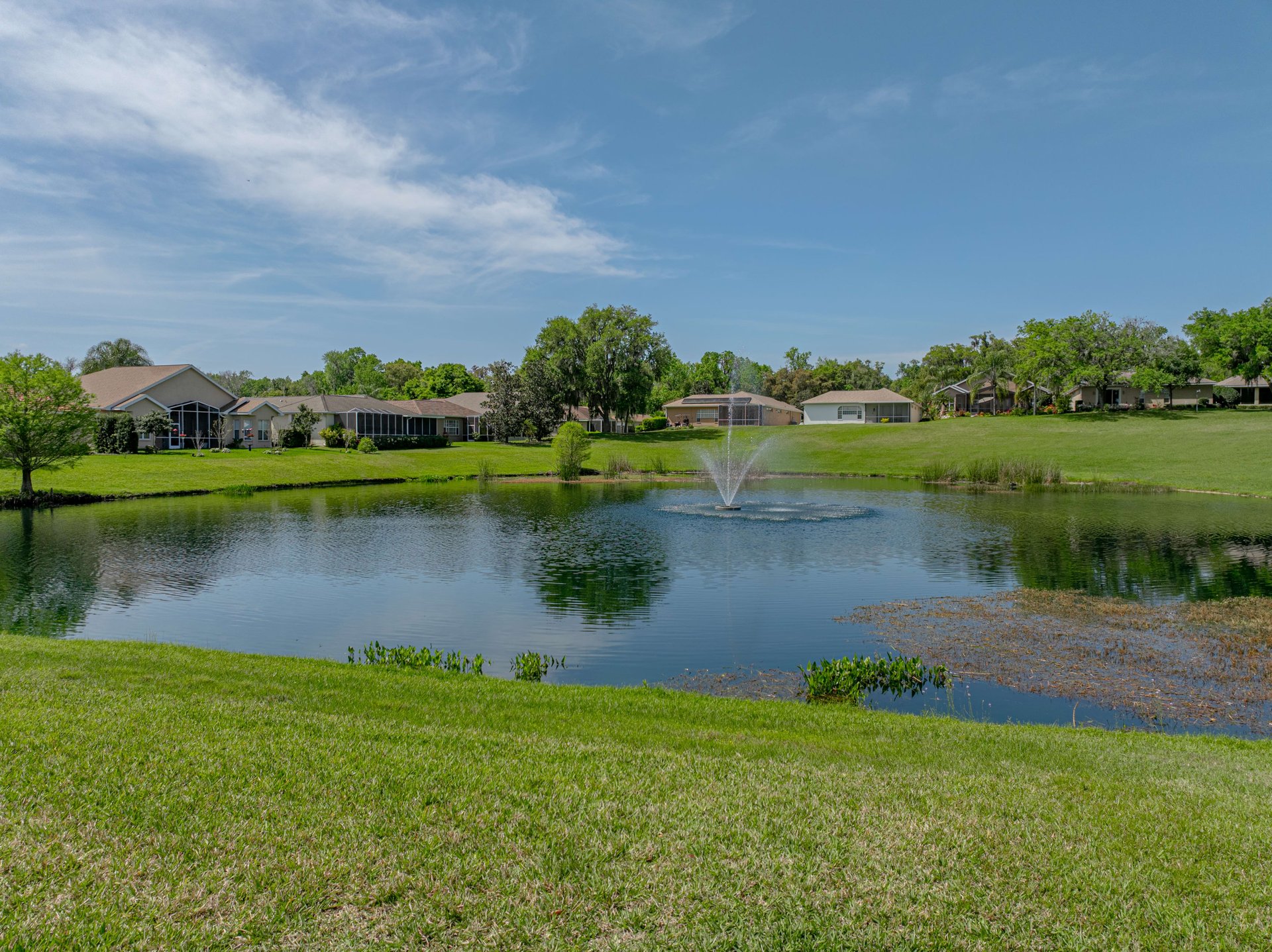 12419 WOODLANDS CIR
