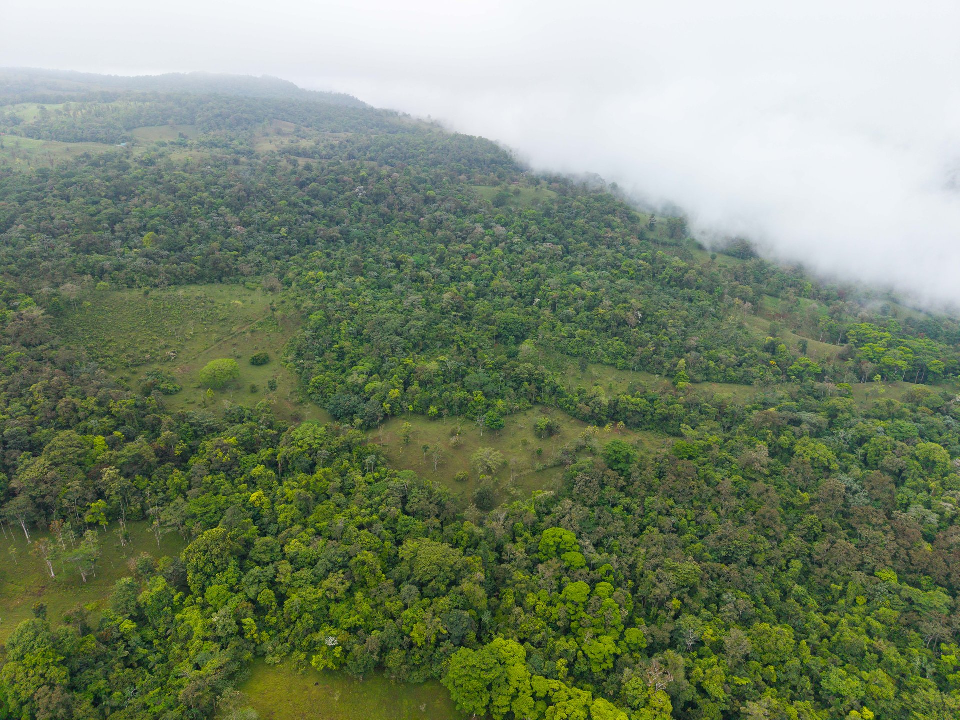 Finca Las Zompopas-Río Celeste | 113-Acre Biodiverse Property in Bijagua, Ideal for Eco-Tourism, Private Retreats, or Sustainable Development