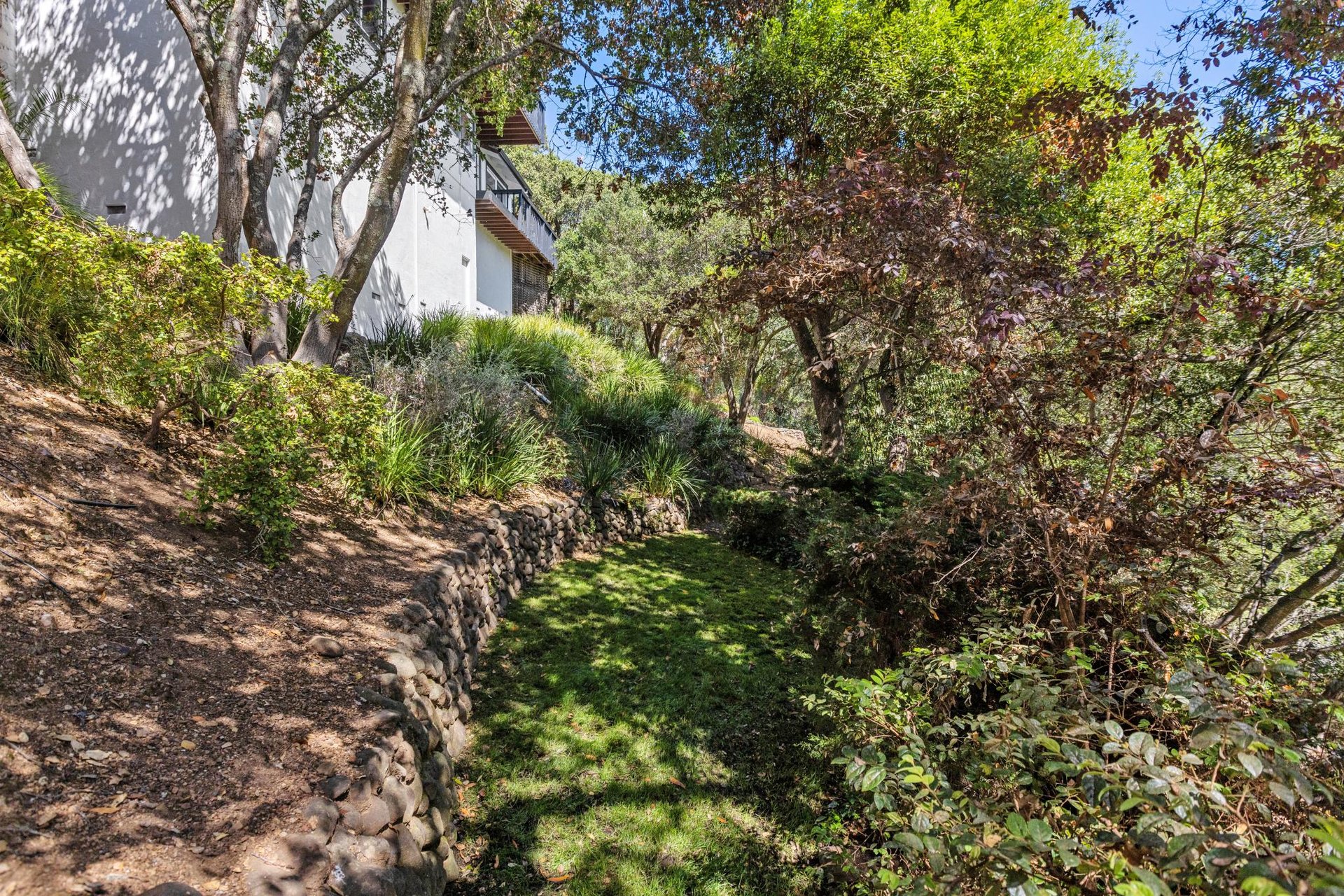 12 Tara View Road