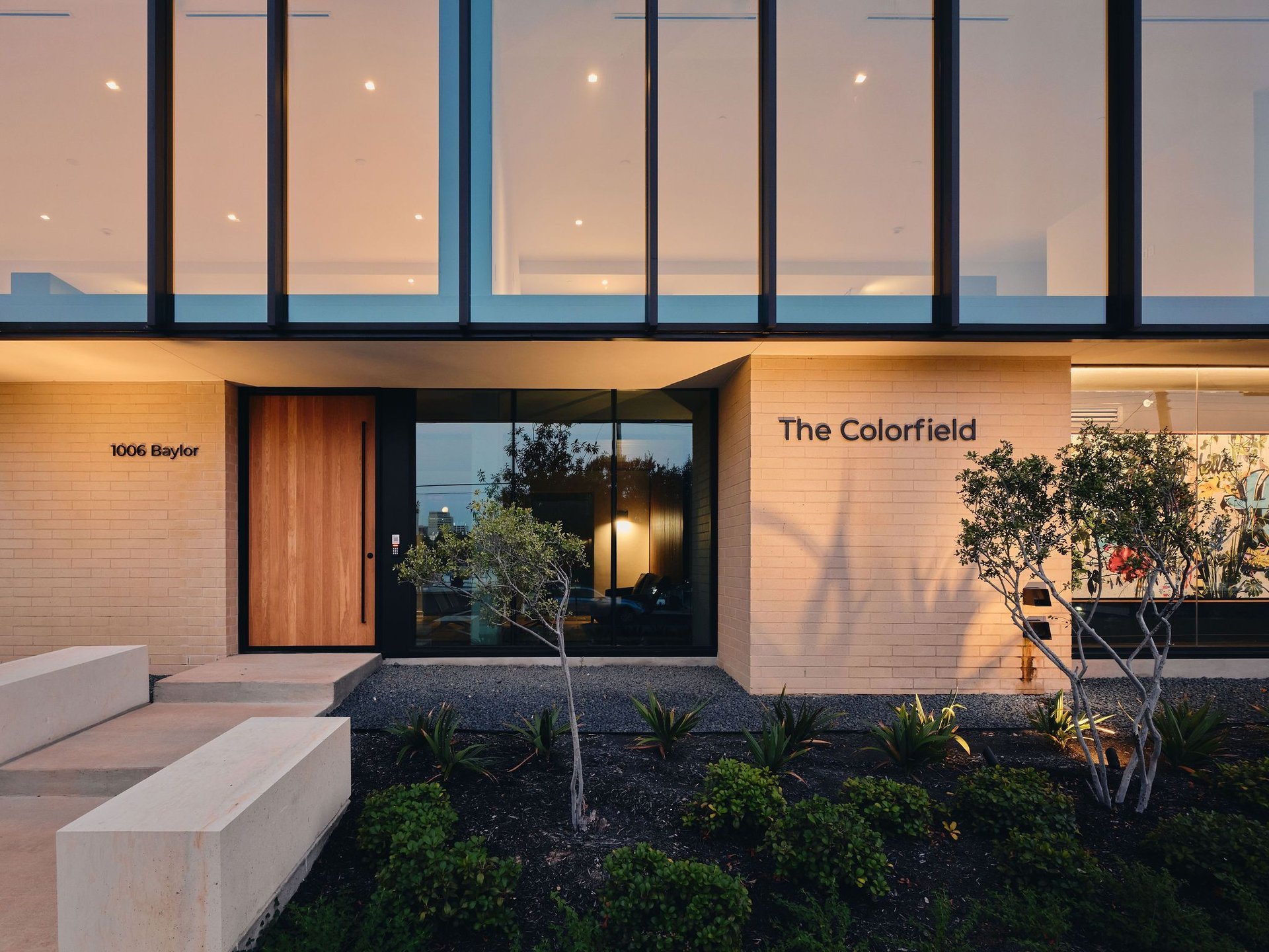 #203 | The Colorfield
