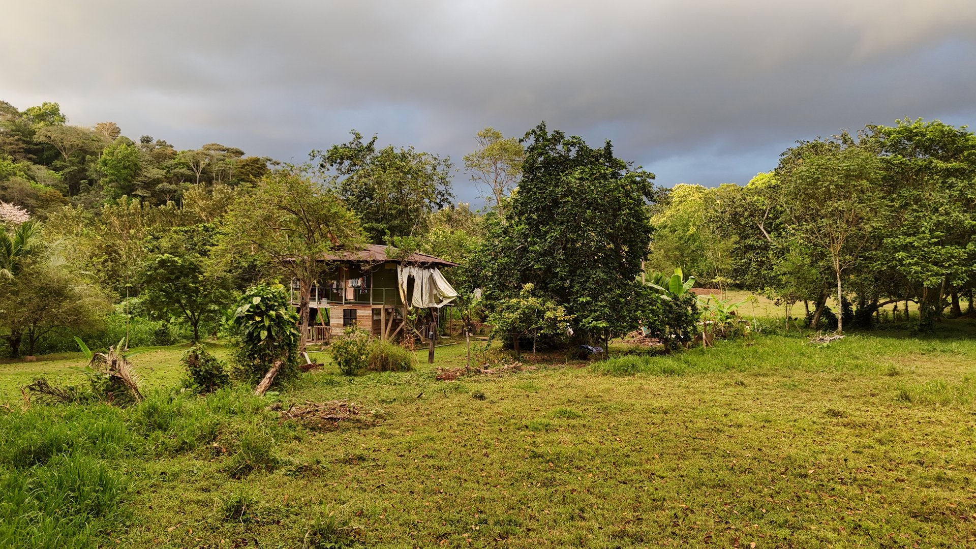 Over 5 Acres Farm in San Buenas