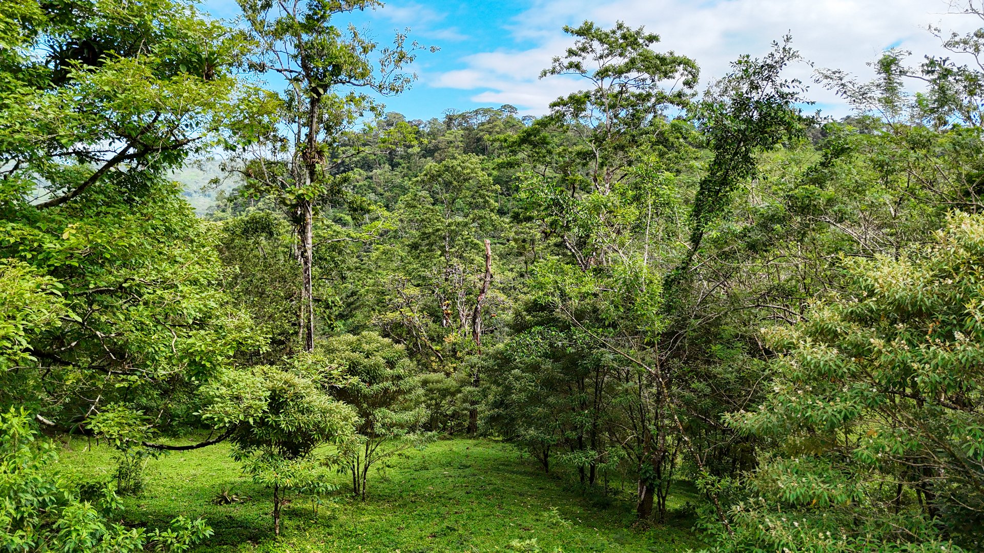 Finca Altamira | Boasting breathtaking panoramic views of the majestic Miravalles Volcano!