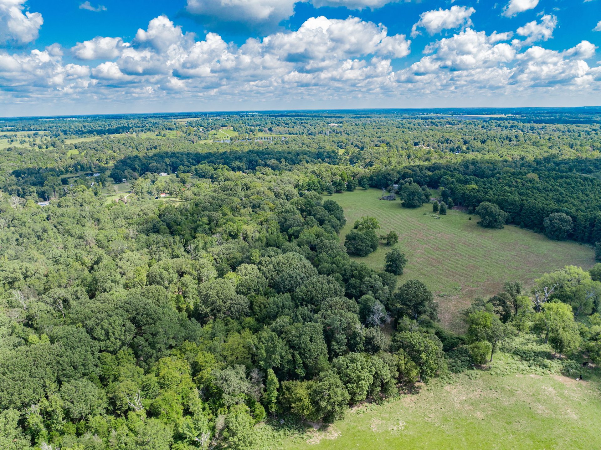 A Ben Wheeler Country Home & Land Dream!