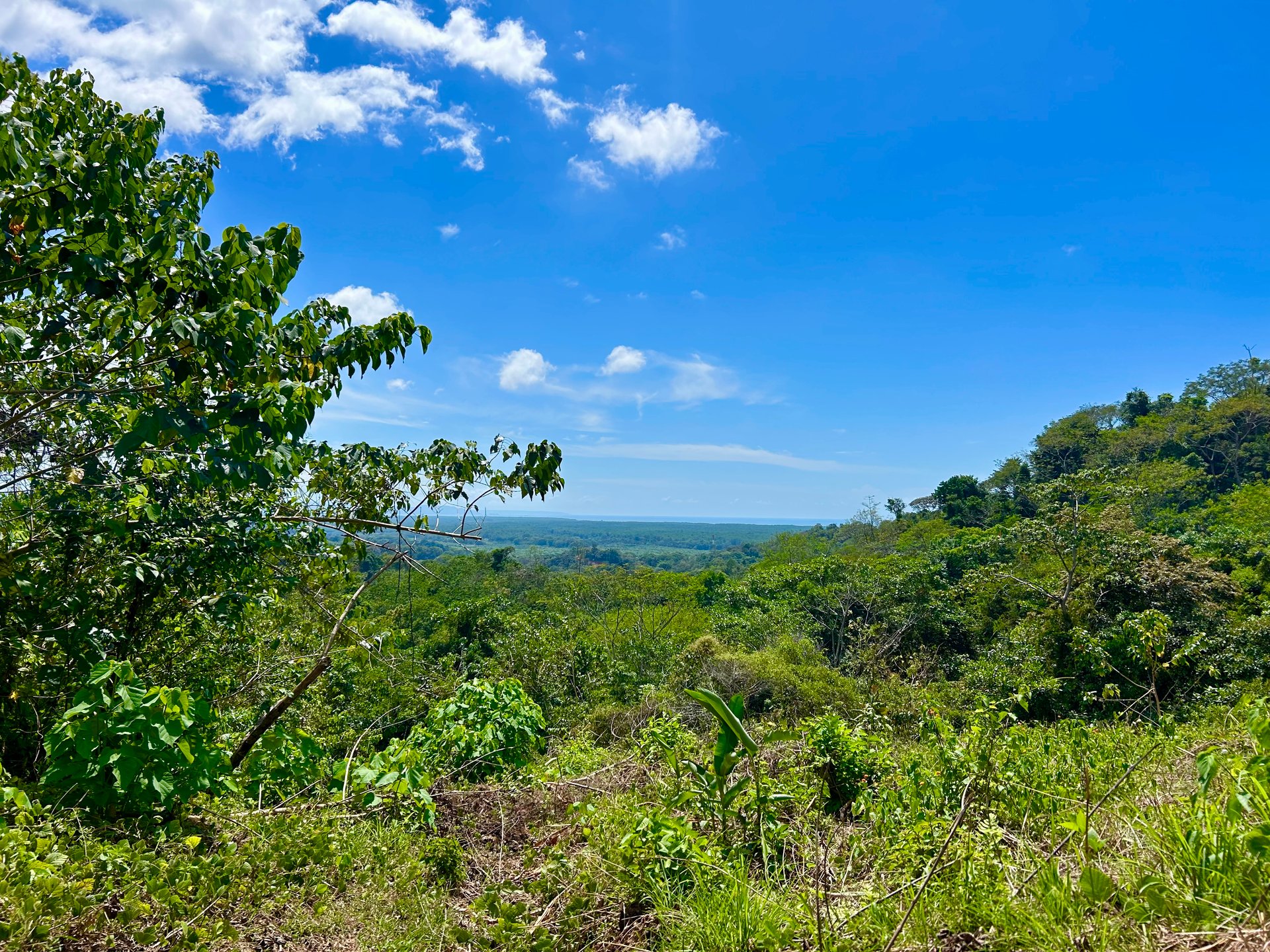 Price Reduced! Ocean View Lots in San Buenas – Just $70K Each