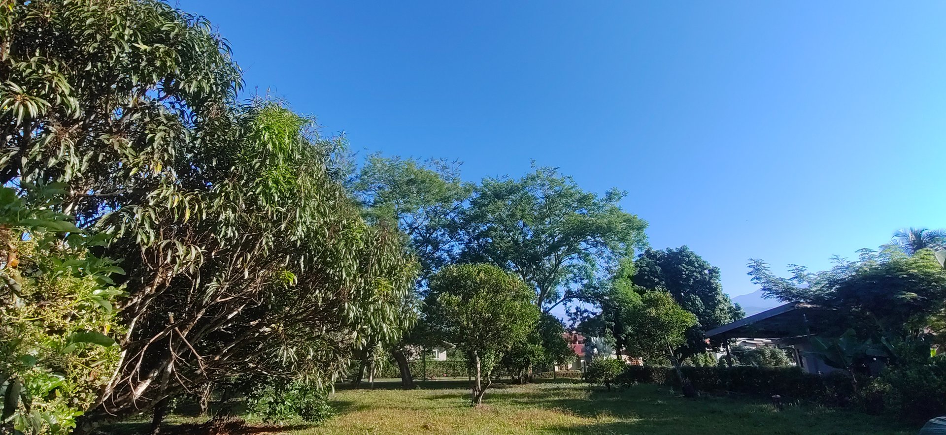 PRIME 1,100 M² LOT IN RESIDENCIAL LOS VIEJOS – FLAT, PRIVATE, AND READY TO BUILD