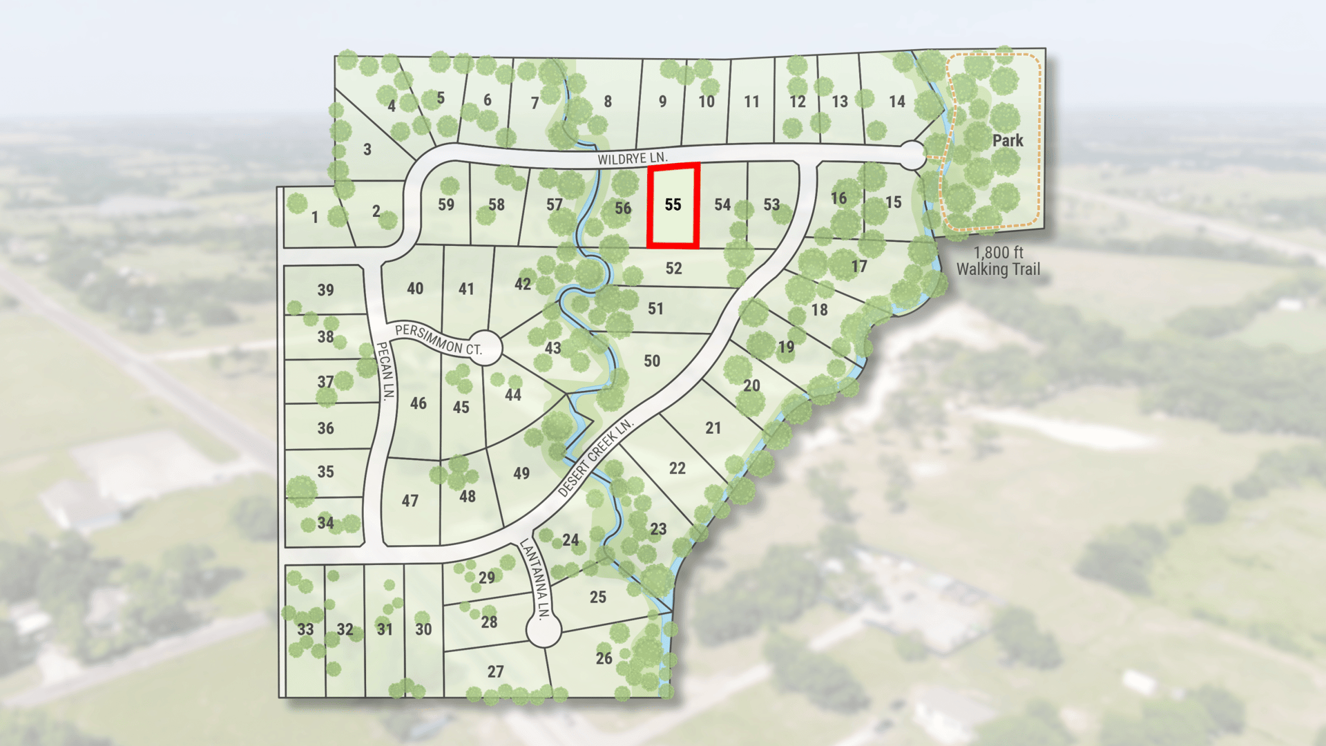 Lot 55