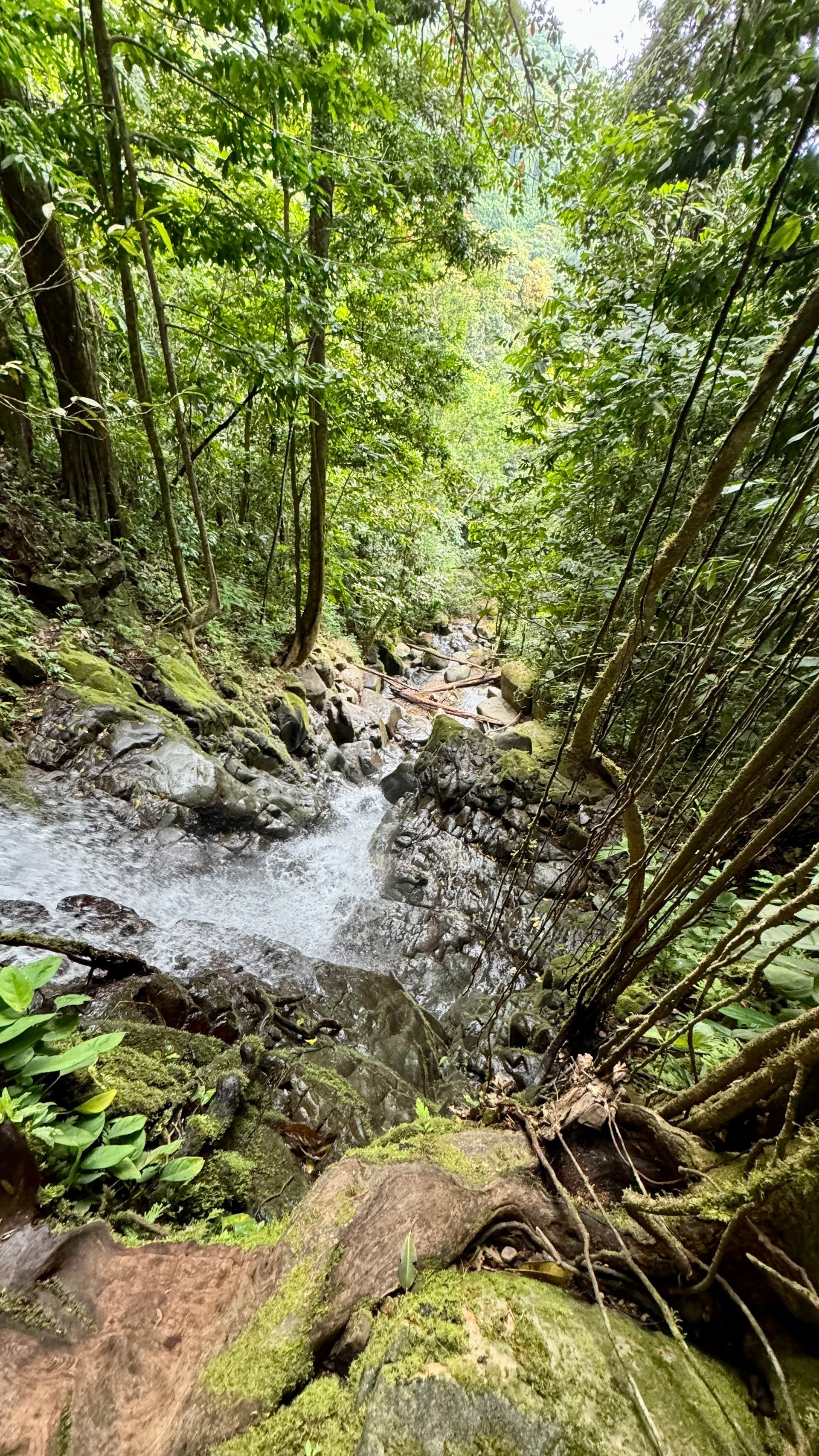 Ocean View Lots in the Exclusive Uvita Mountains. 