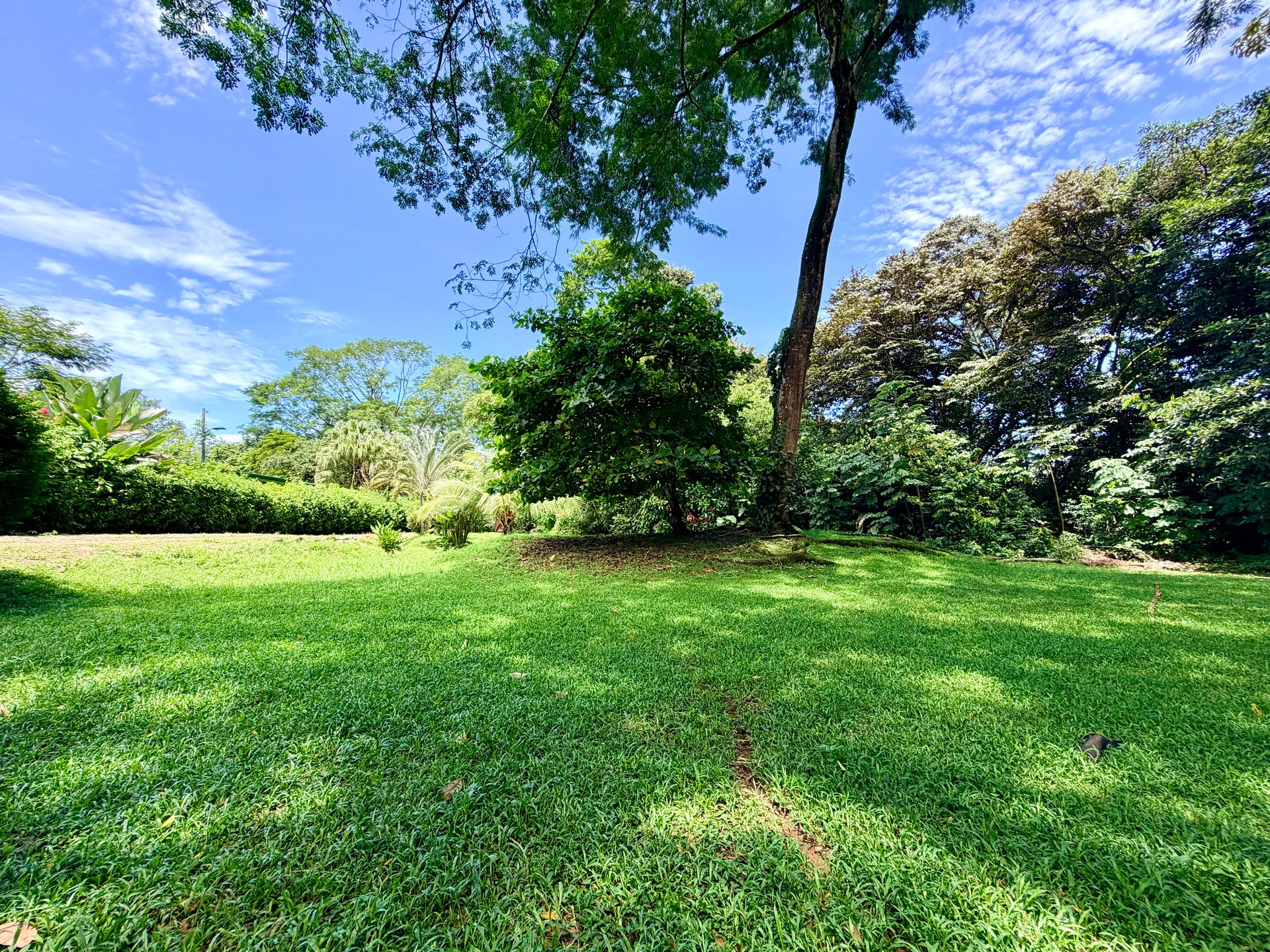 Riverside Cabin in Uvita | 0.98-Acre Estate with Room to Expand