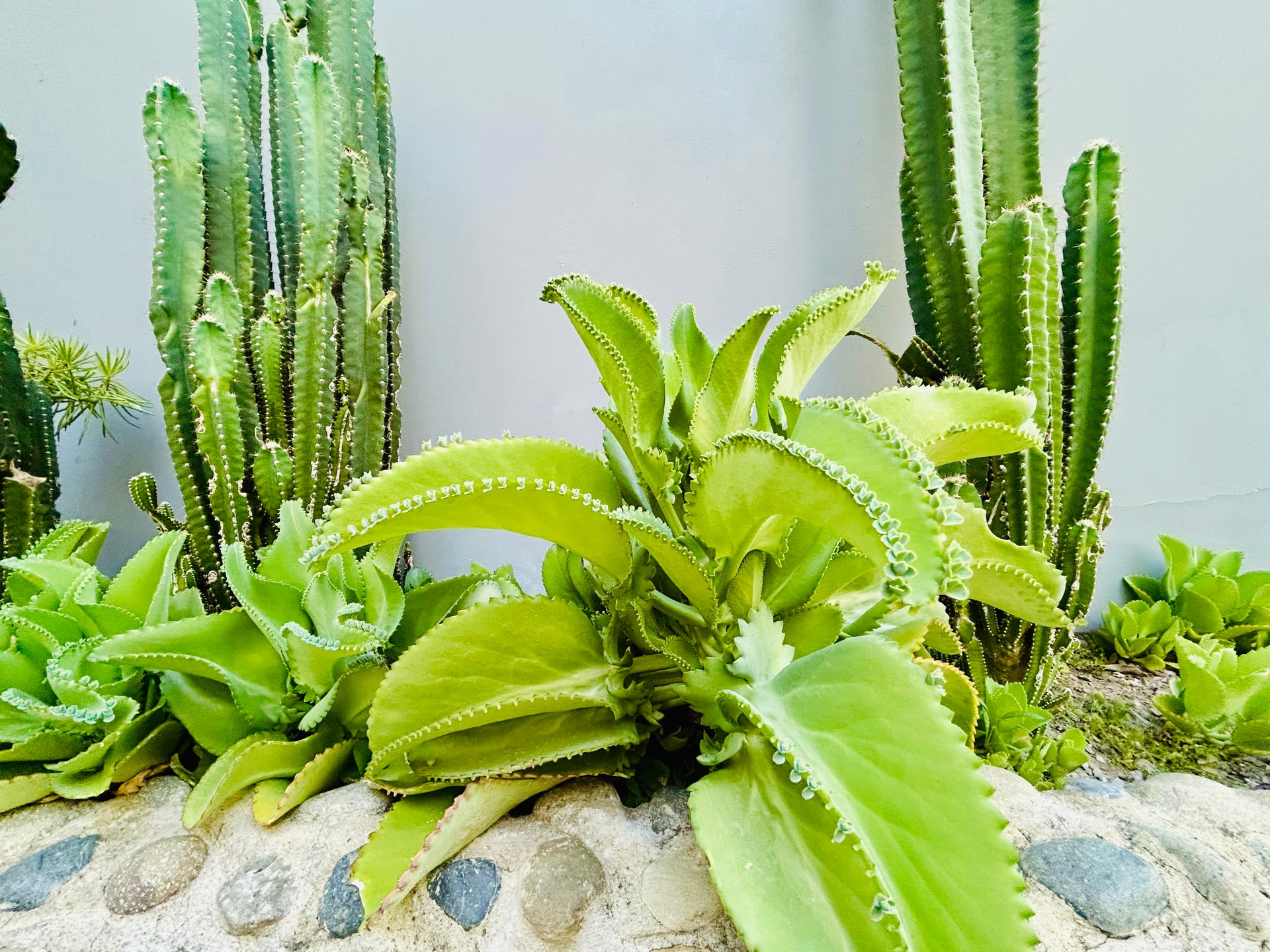 Tropical 2BR Home Near Playa Hermosa Beach | Successful Airbnb Rental in Uvita