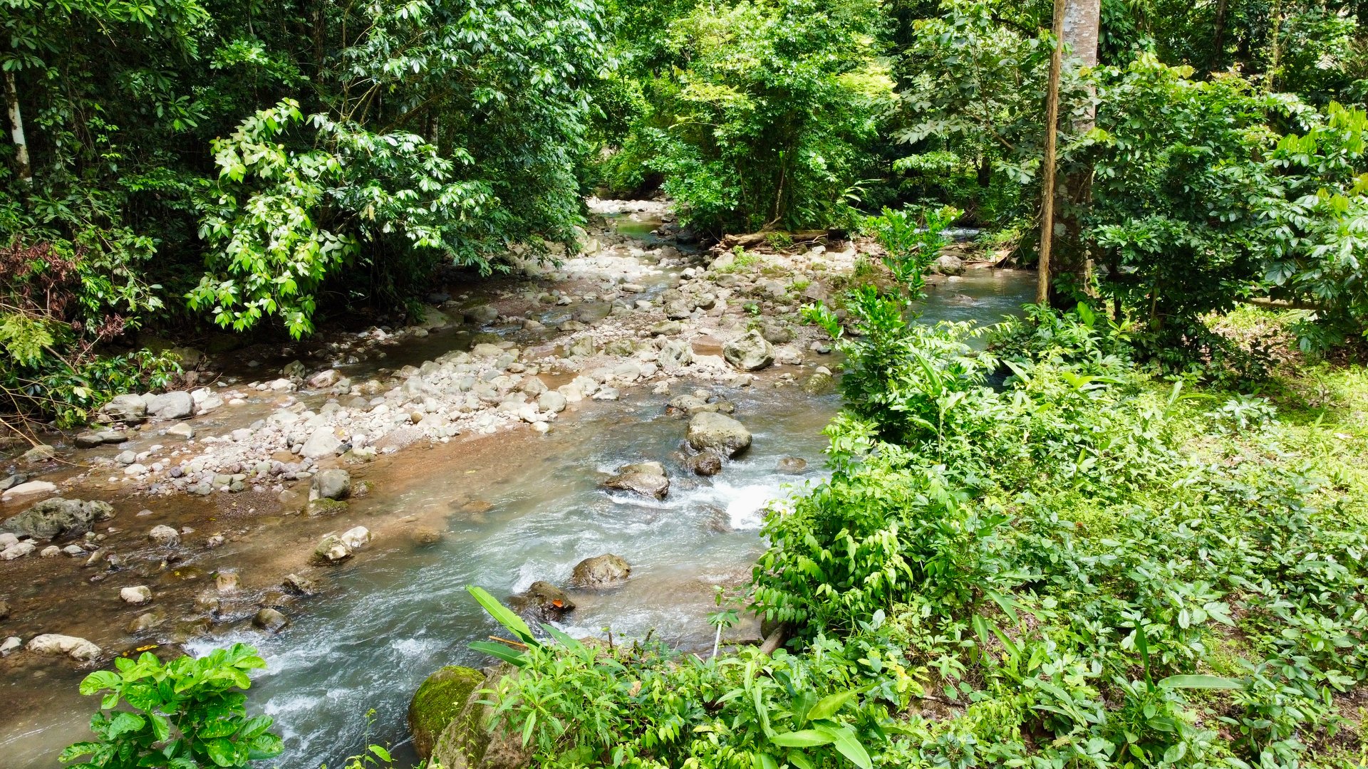 Ready-to-Build Land in San Antonio de Damas: 2,6-Acre with Terraces & Road Frontage