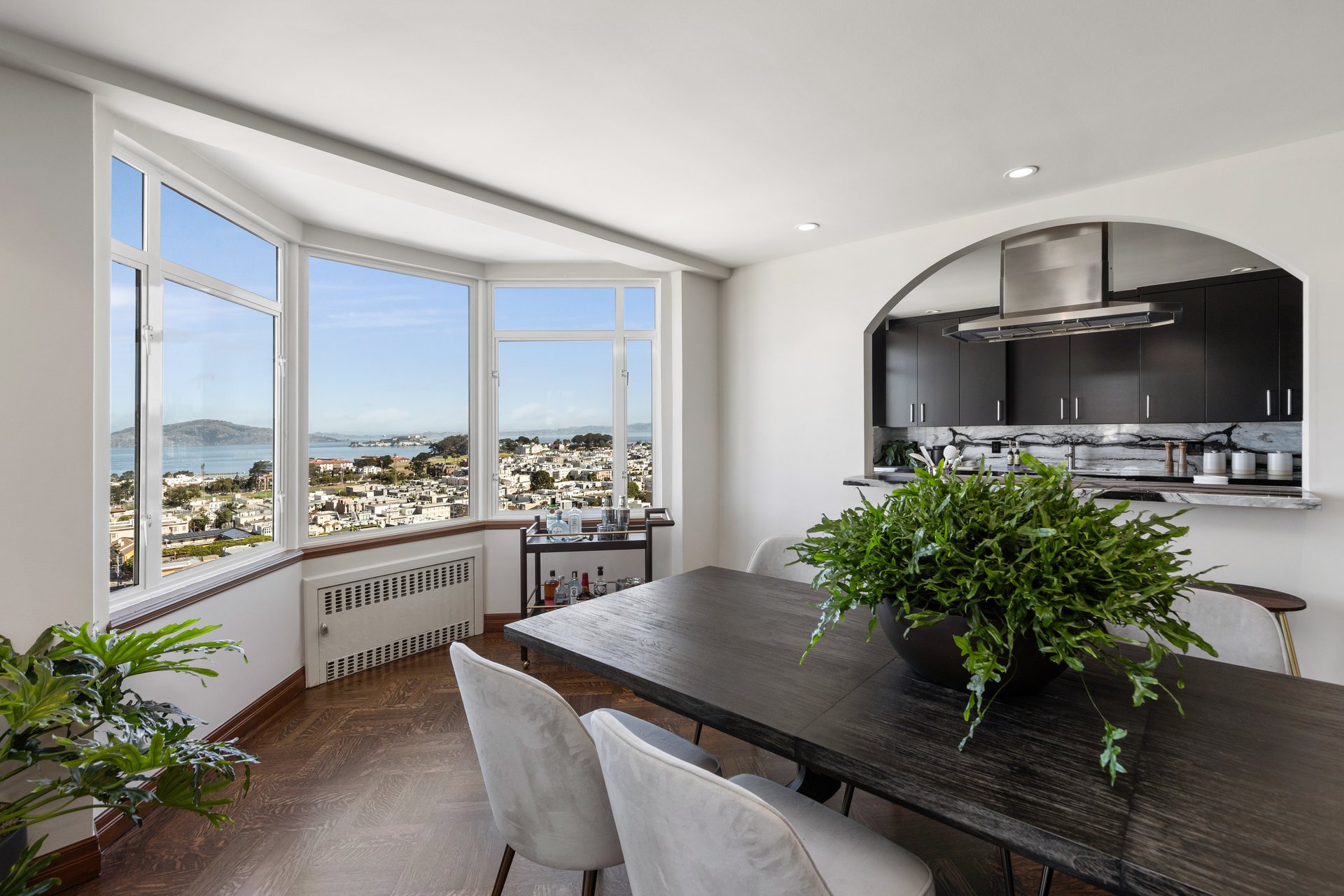2100 Green Street Penthouse