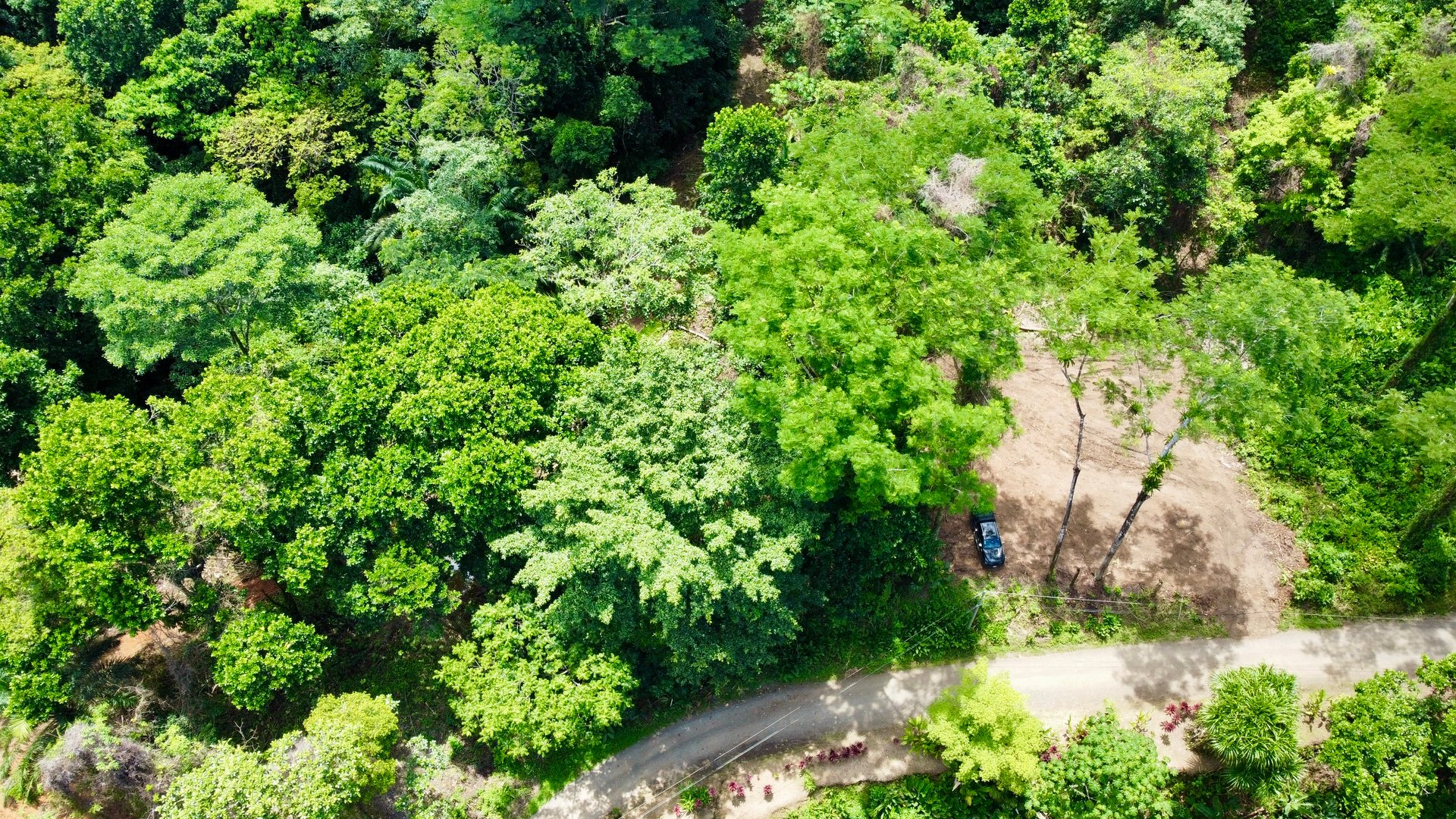 Ready-to-Build Land in San Antonio de Damas: 2,6-Acre with Terraces & Road Frontage