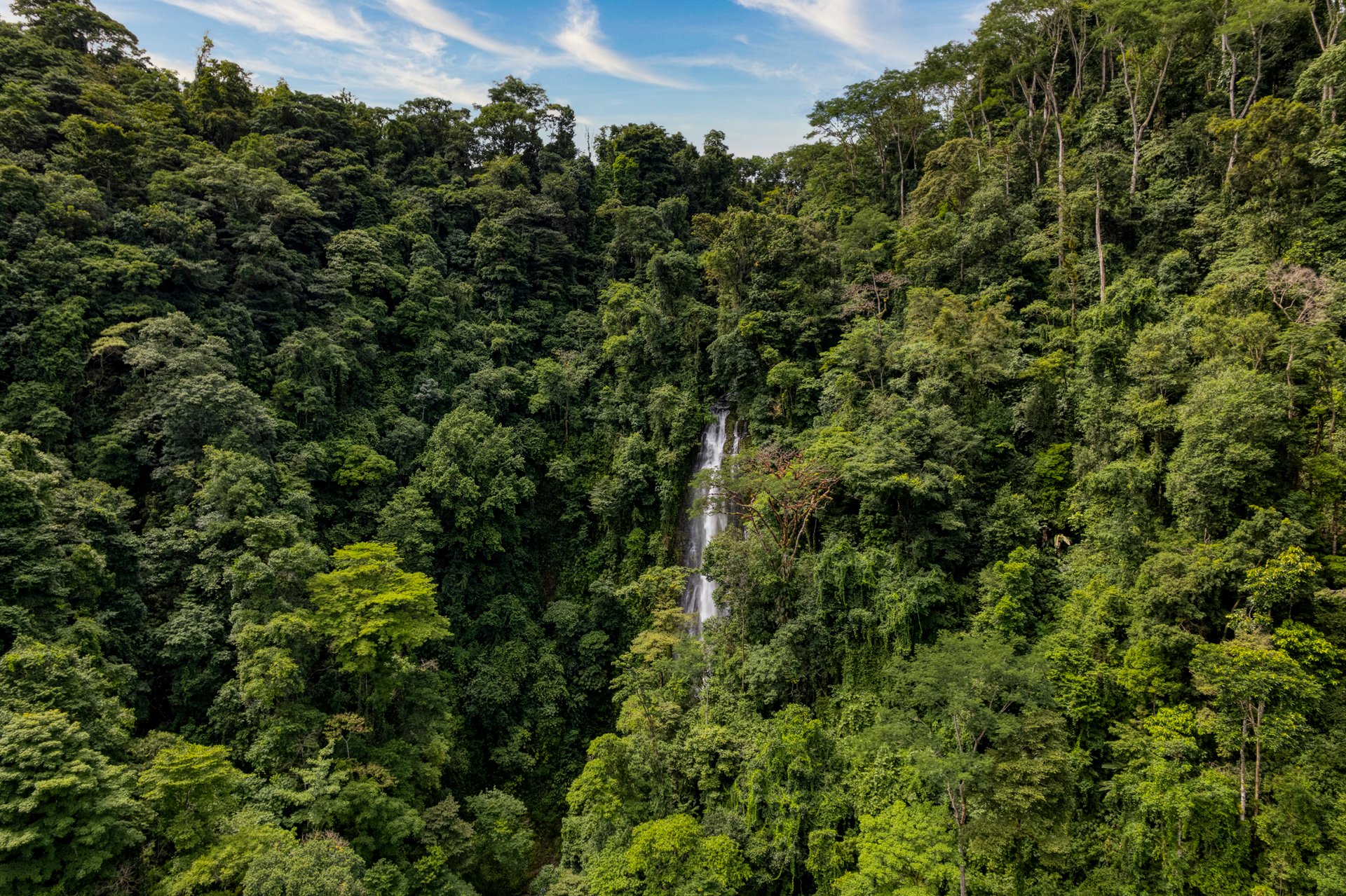 Once in a Lifetime Waterfall Farm in a Pristine Biological Corridor