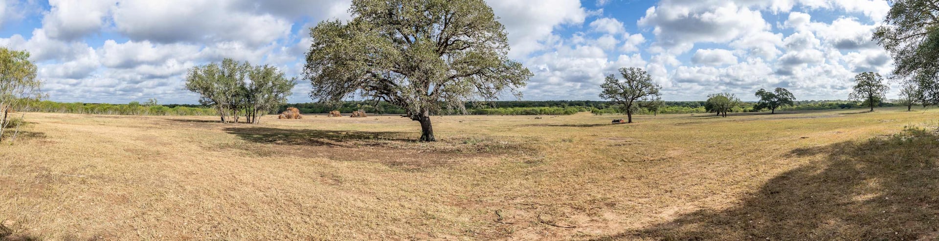 The Poco Loco | 278± Acres | DeWitt County