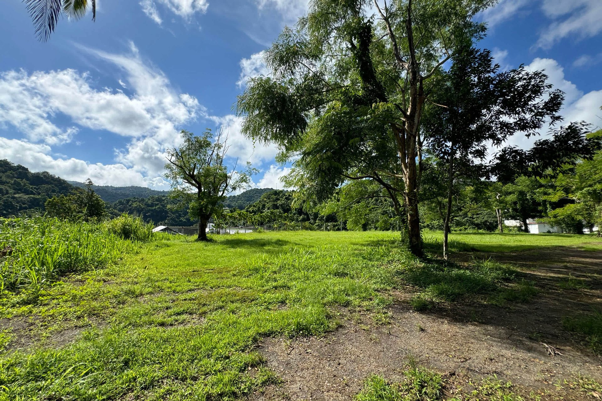 MonteCielo Riverfront Property