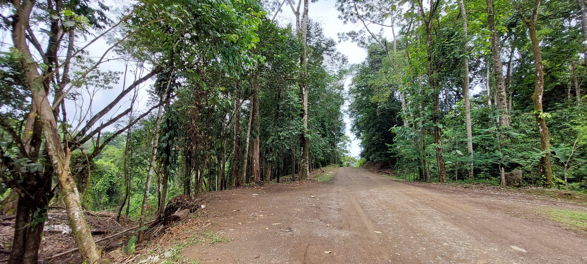 3.5 Acres of Paradise In Uvita, Jungle View!