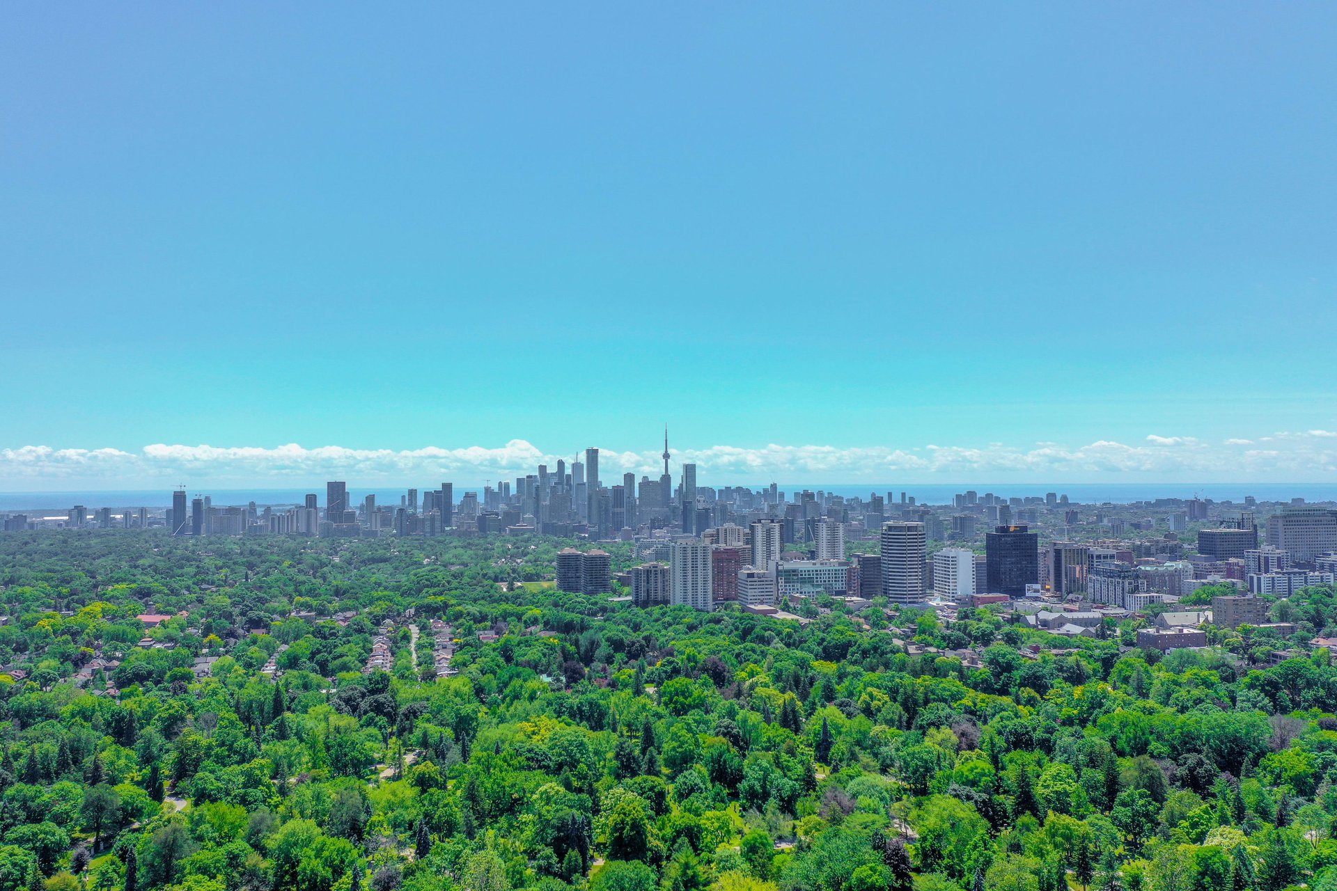Lux Living At MYC Condos