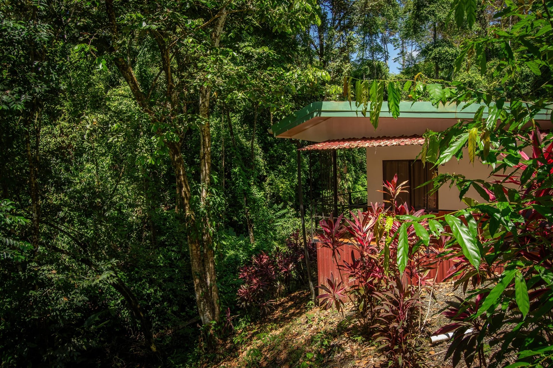9 Home Parcel With Land to Expand in a Prime Location! 