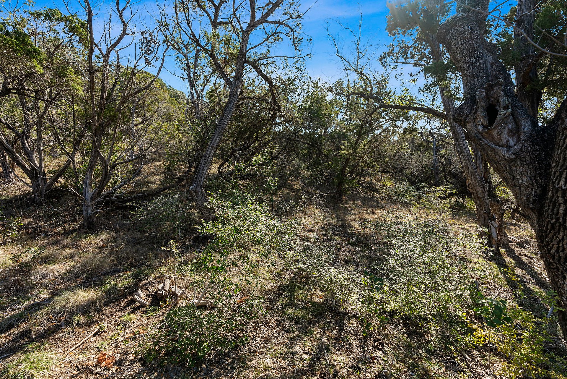 Scenic View Lot For Sale