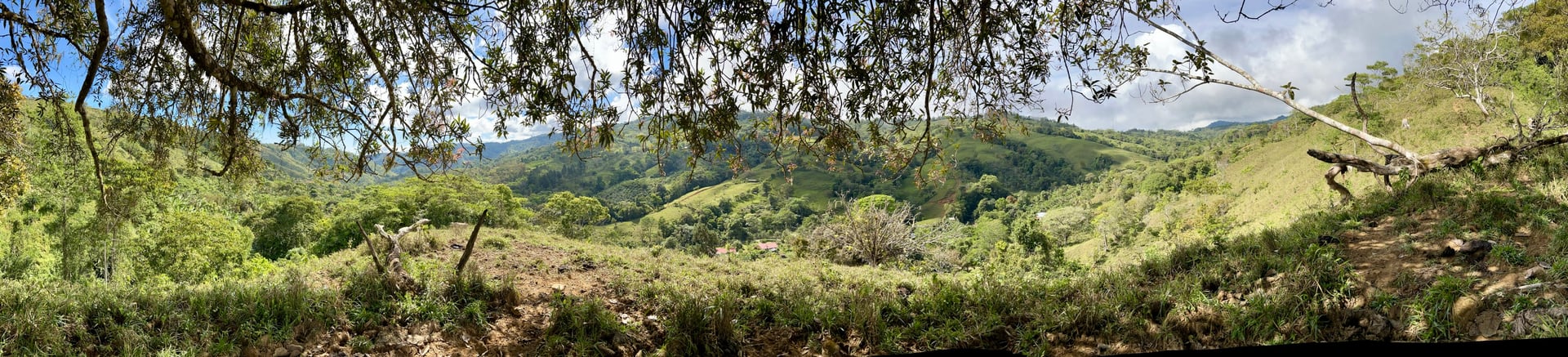 49 Acres Development Farm in San Luis with two Existing Homes 