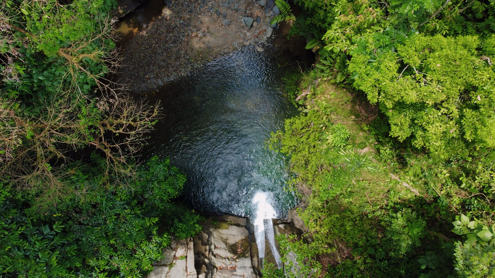 Finca Cerro del Tigre!   Over 20 Acres of Primary Forest and  Waterfalls. 