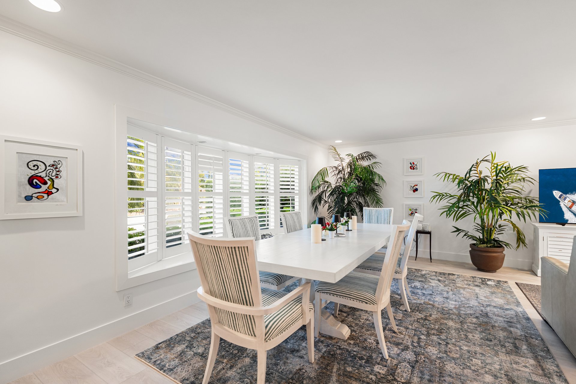 COQUINA SANDS