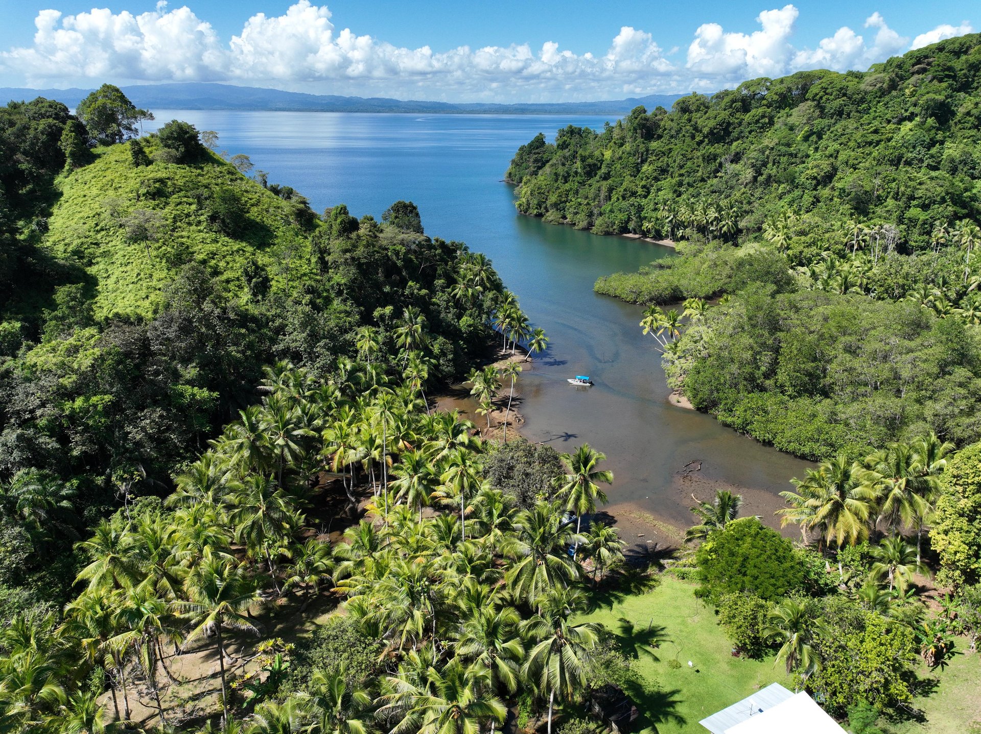 Jungle Islands — Los Mogos