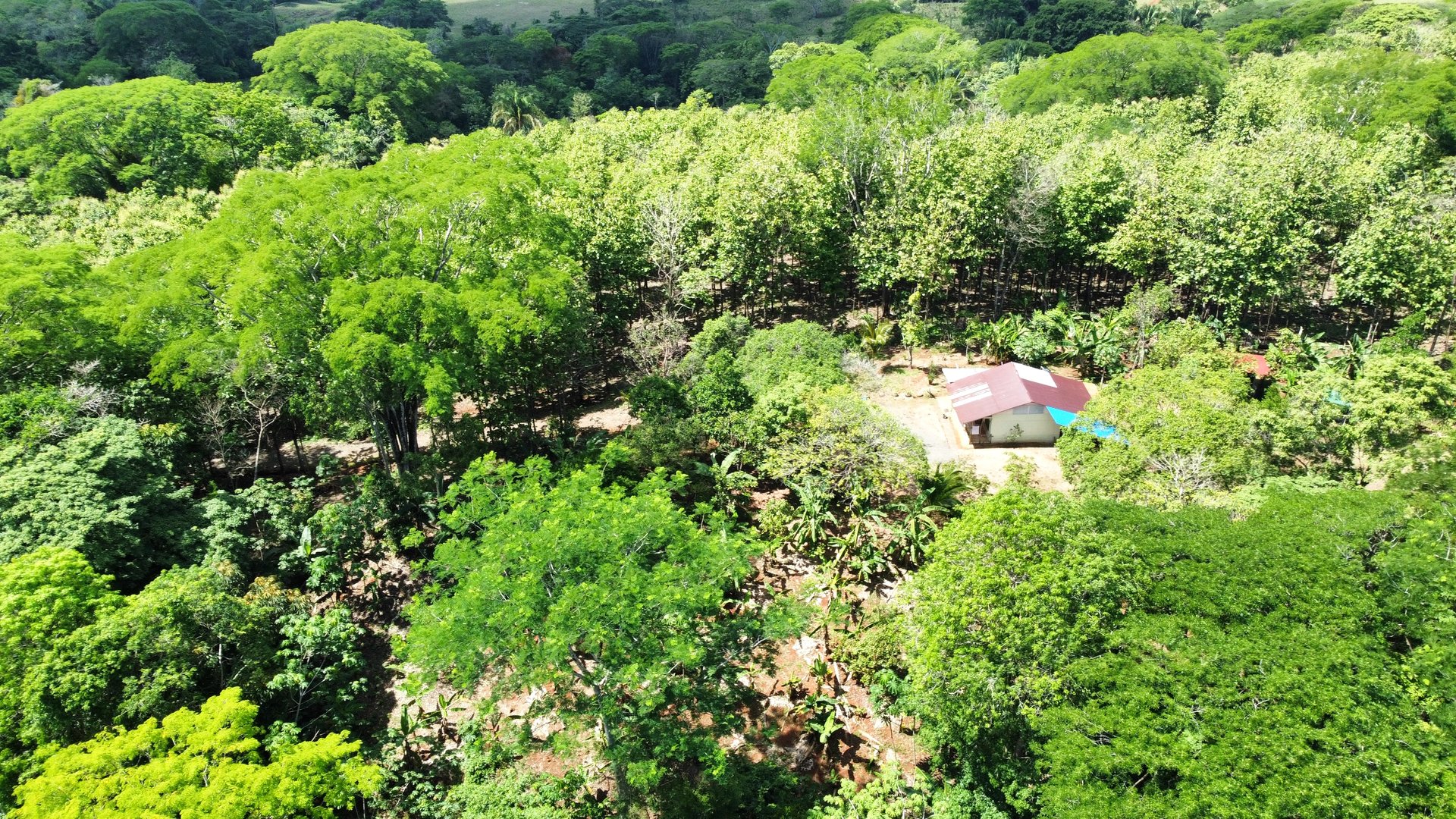 7-Hectare Farm with Teak Plantation, Existing Home & Eco-Development Potential Near Parrita, Costa Rica