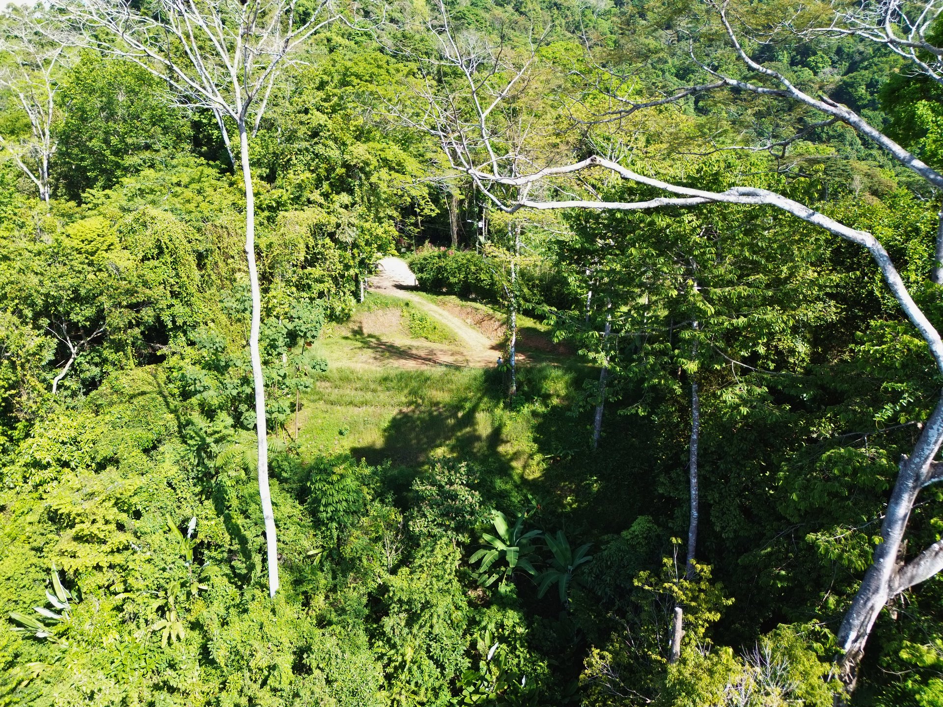 Build-Ready Ocean View Lot in Uvita Hills