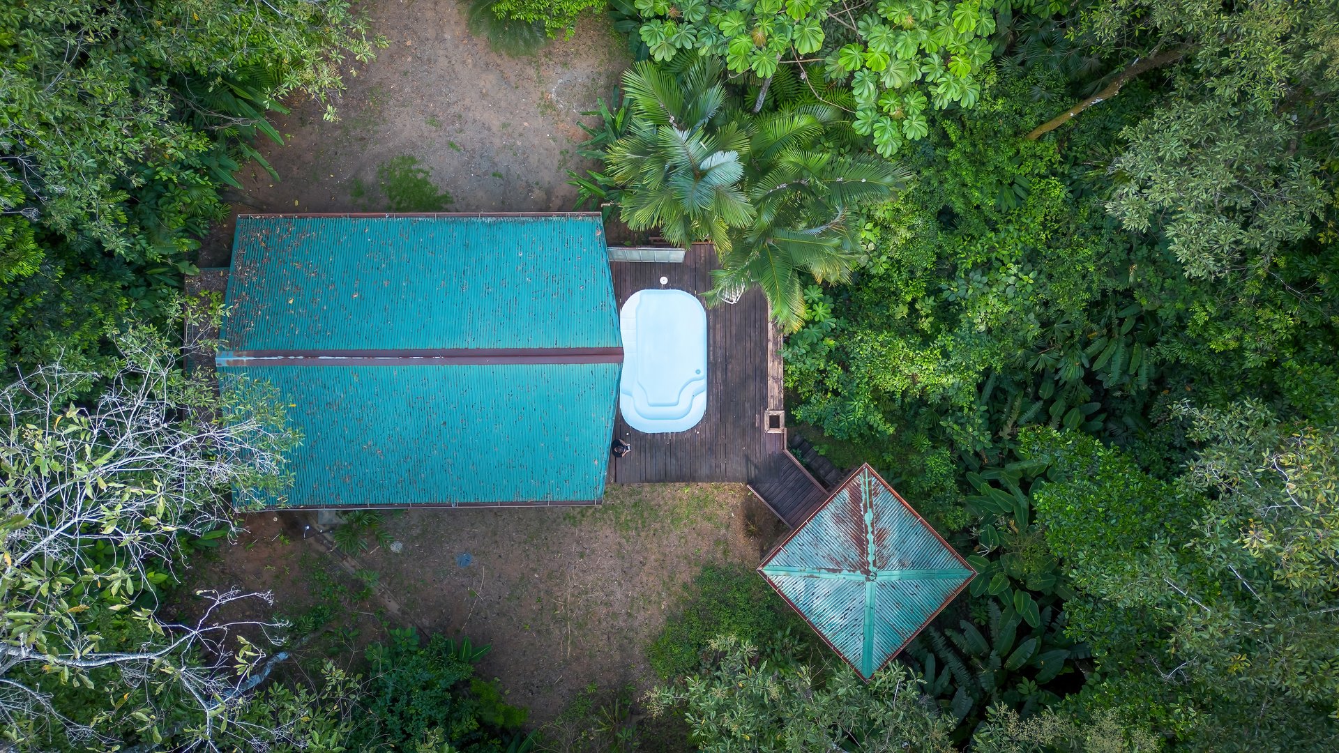 Private Jungle Oasis! 1 Bed, 1 Bath Hatillo Haven