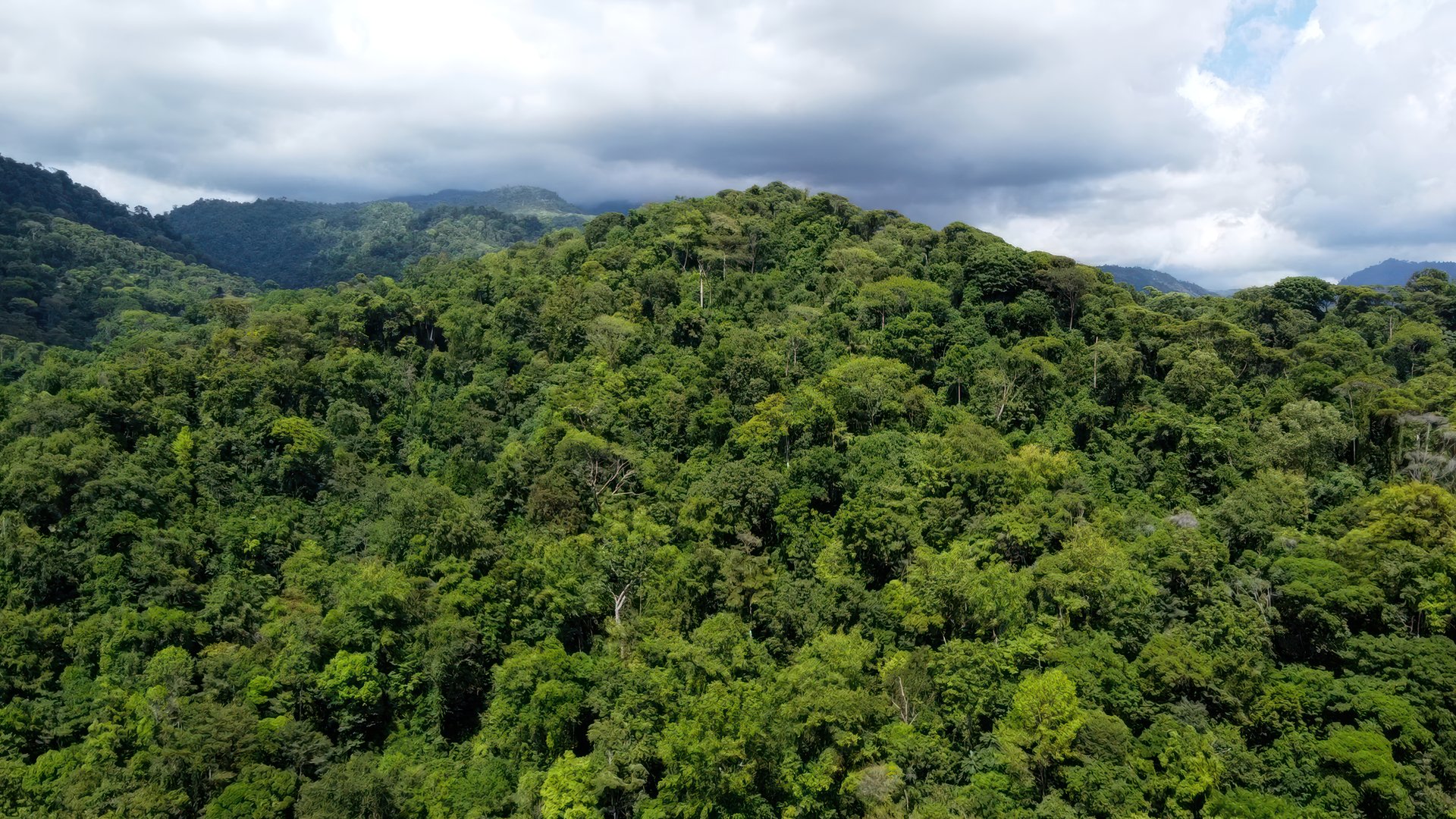 61 Acres of Pure Nature for Off-Grid Living & Conservation | Quepos